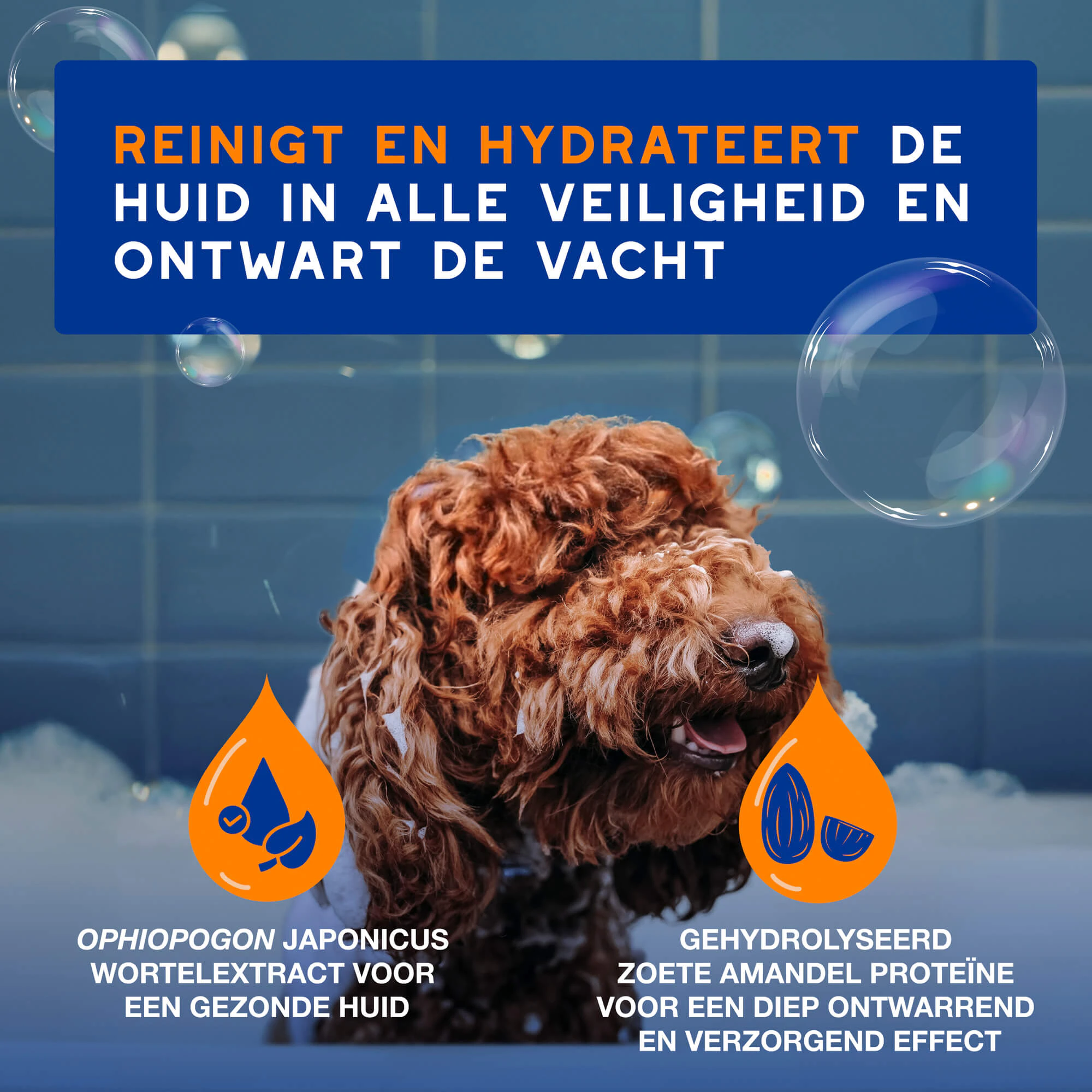 Douxo Spa Shampoo & Conditioner