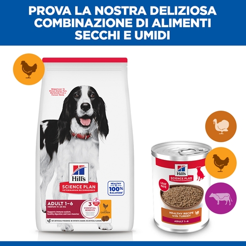 Hill's Science Plan - Medium - Adult - Tacchino - Lattina
