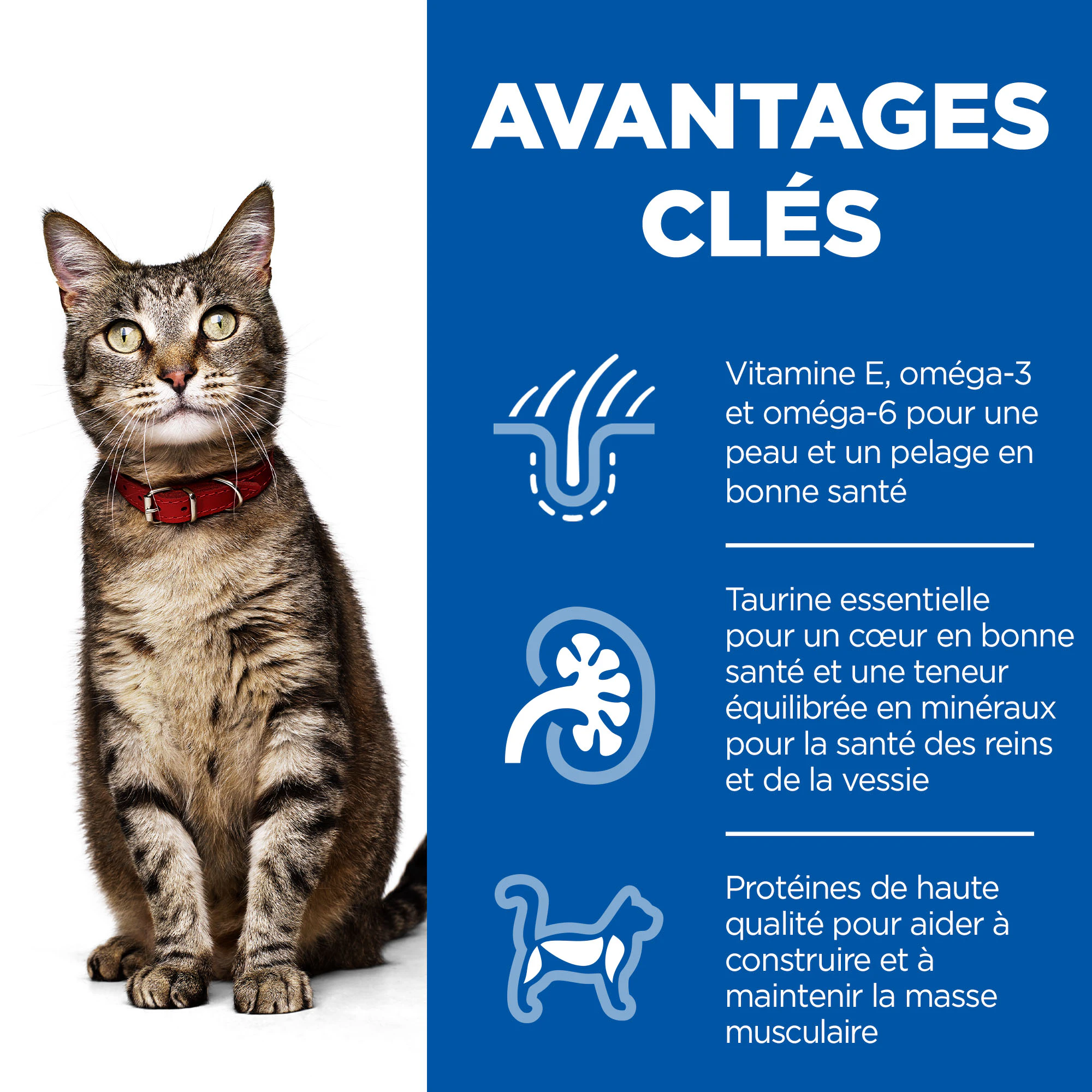 Hill's Science Plan Feline Adult Favourite Selection