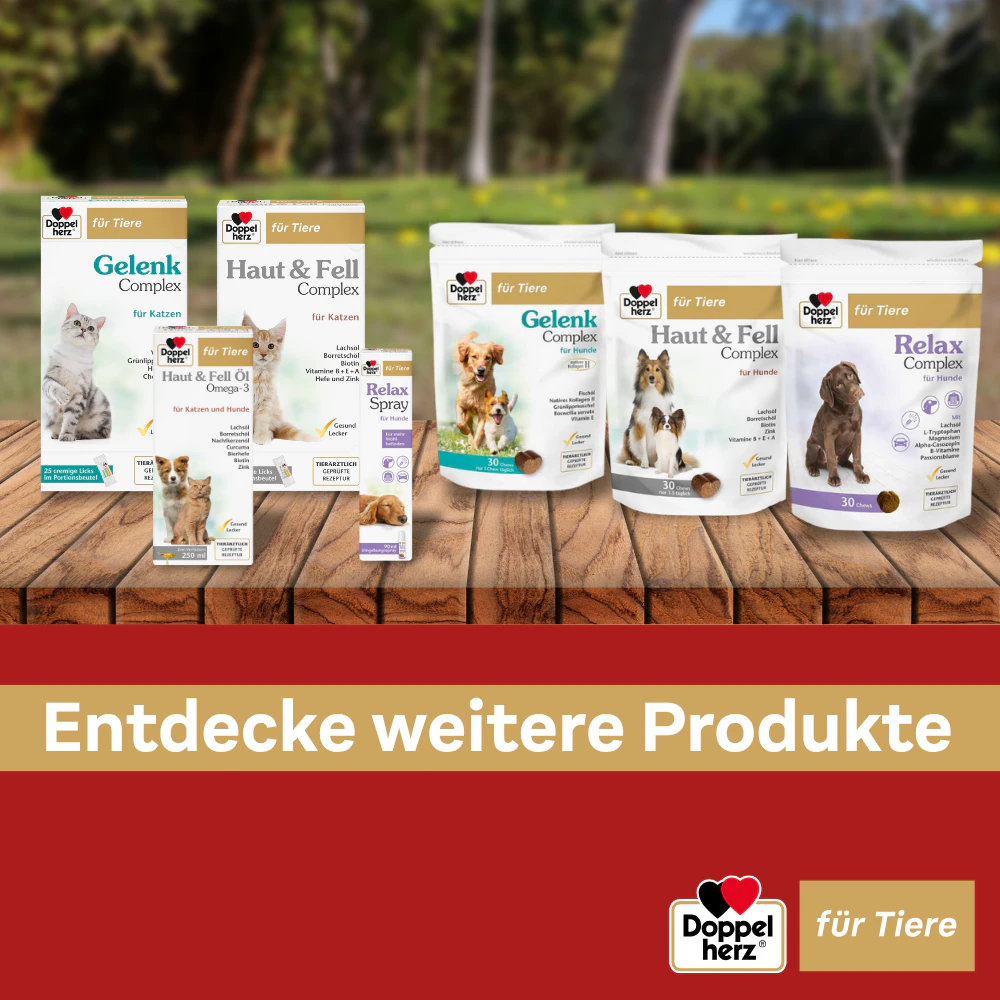 Doppelherz Gelenk Öl Omega-3 für Katzen und Hunde