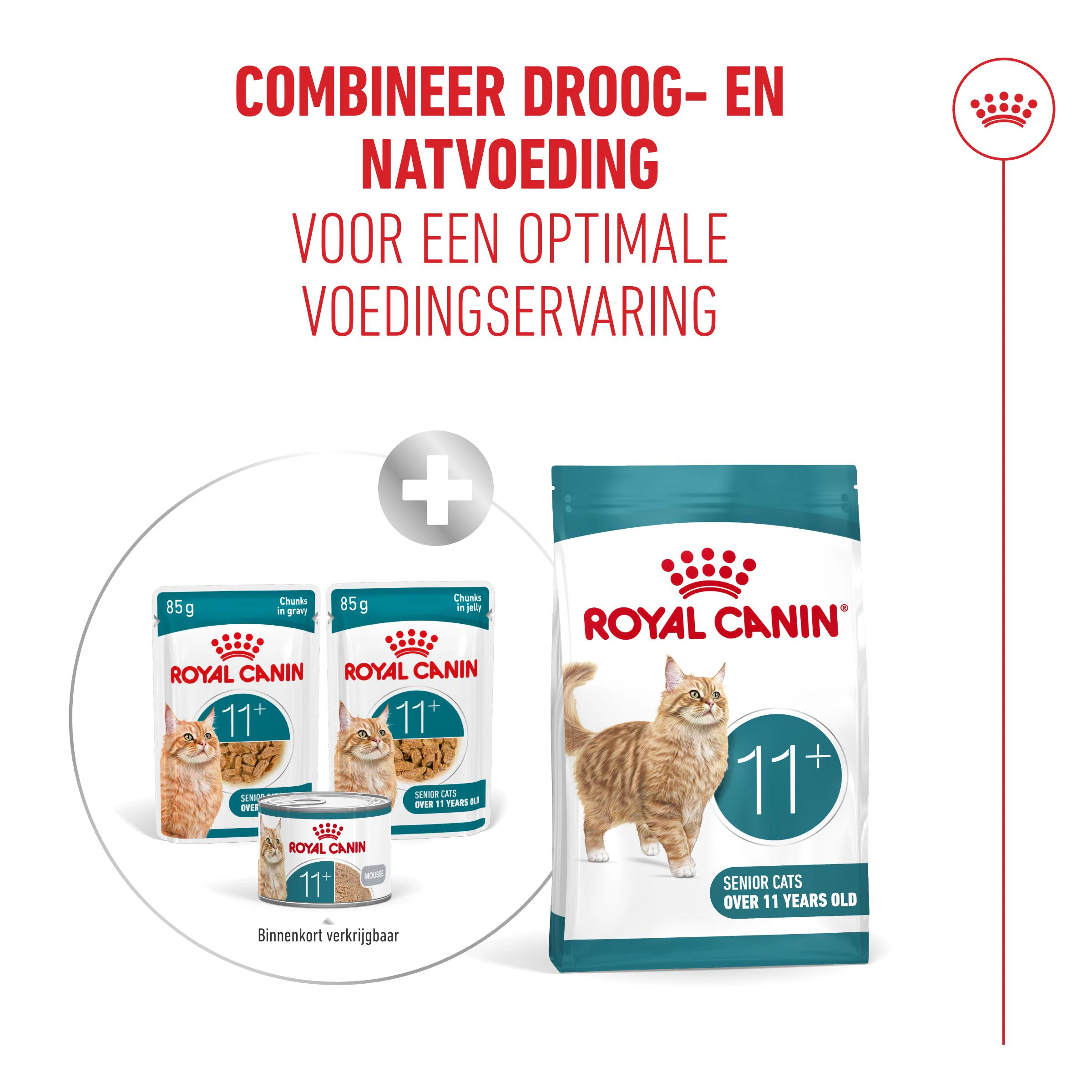 Royal Canin Ageing 11+ Mousse - Kattenvoer