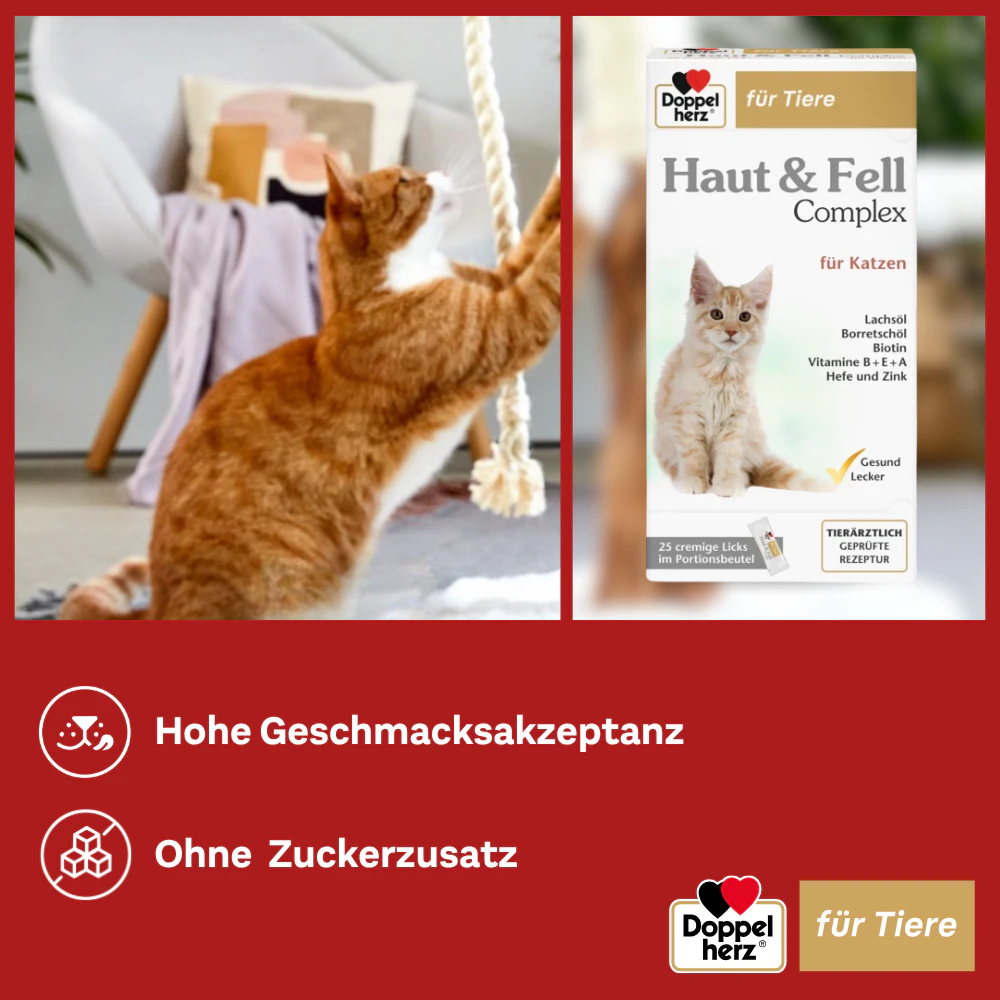 Doppelherz Haut & Fell Complex für Katzen