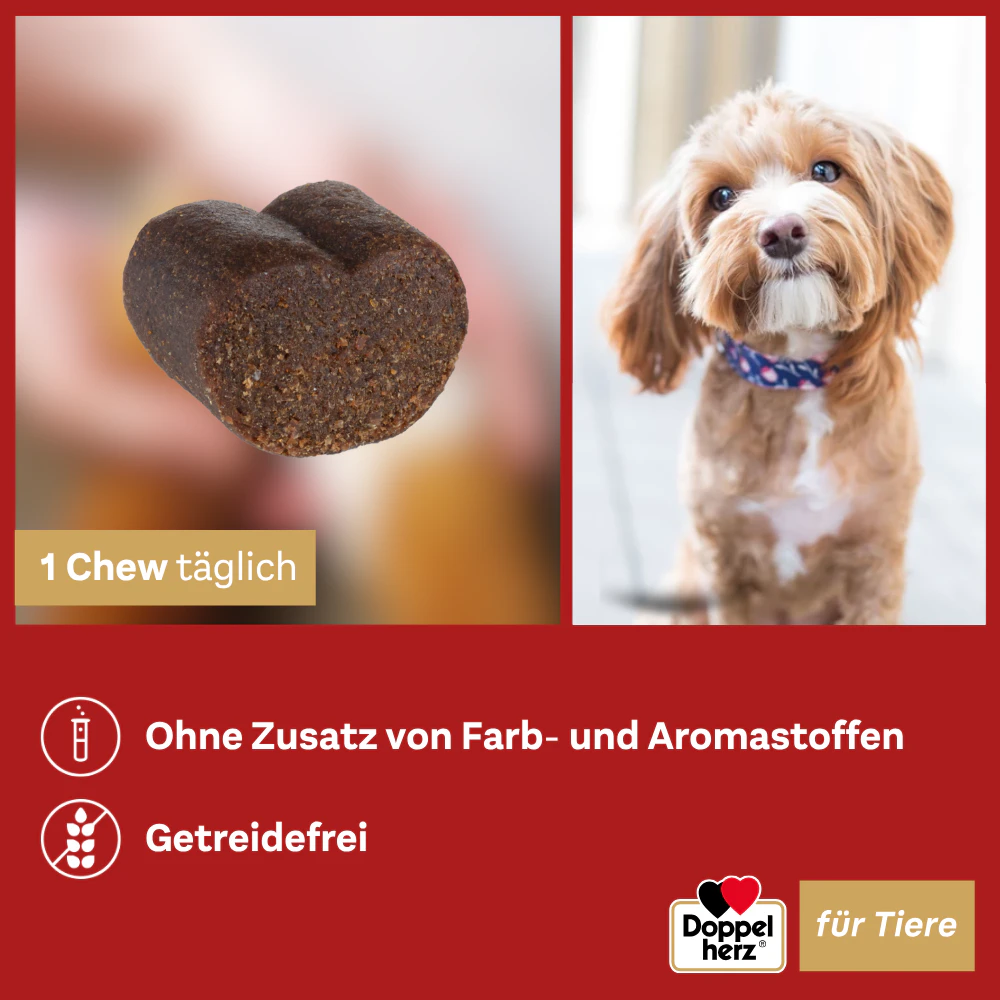 Doppelherz Gelenk Complex für Hunde
