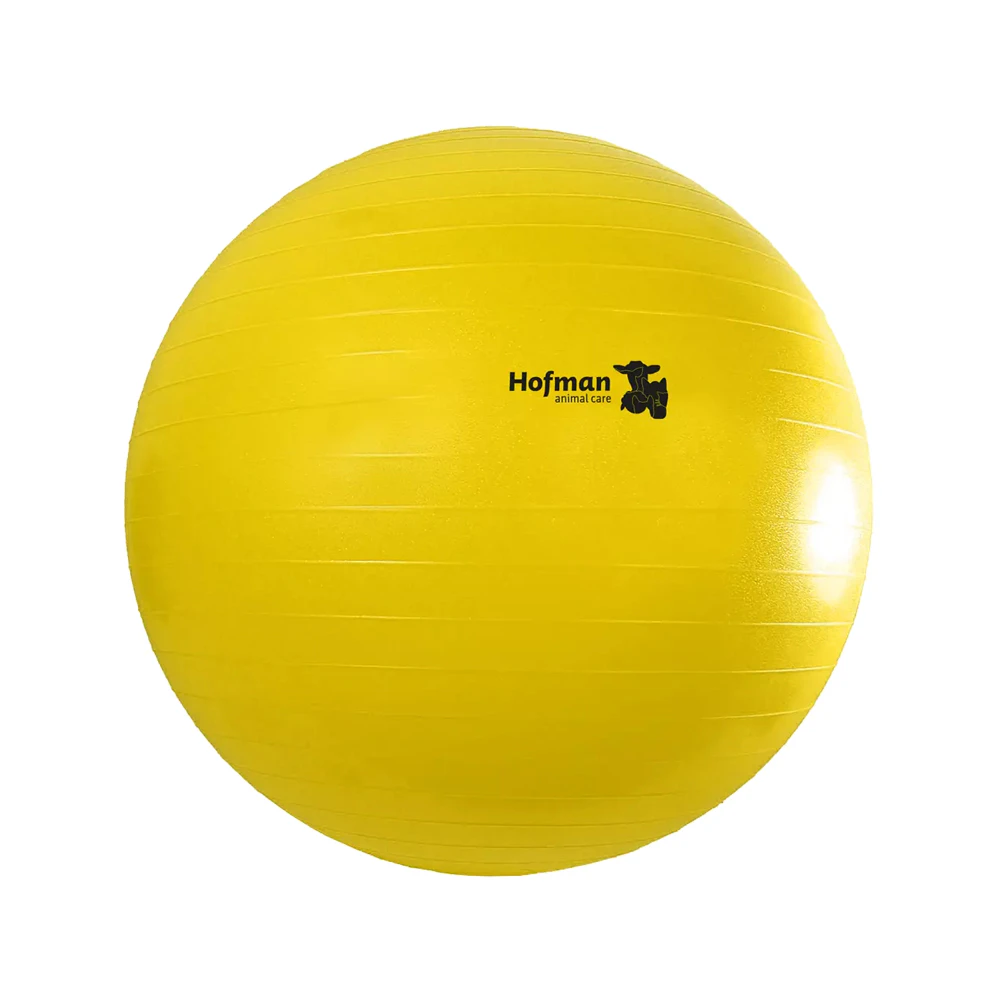 Maximus Power Play Ball