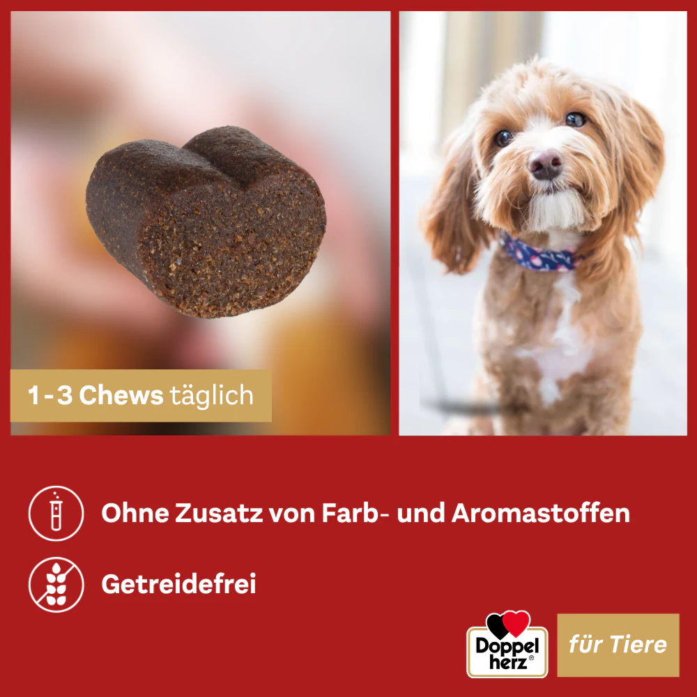 Doppelherz Skin & Coat Complex for Dogs