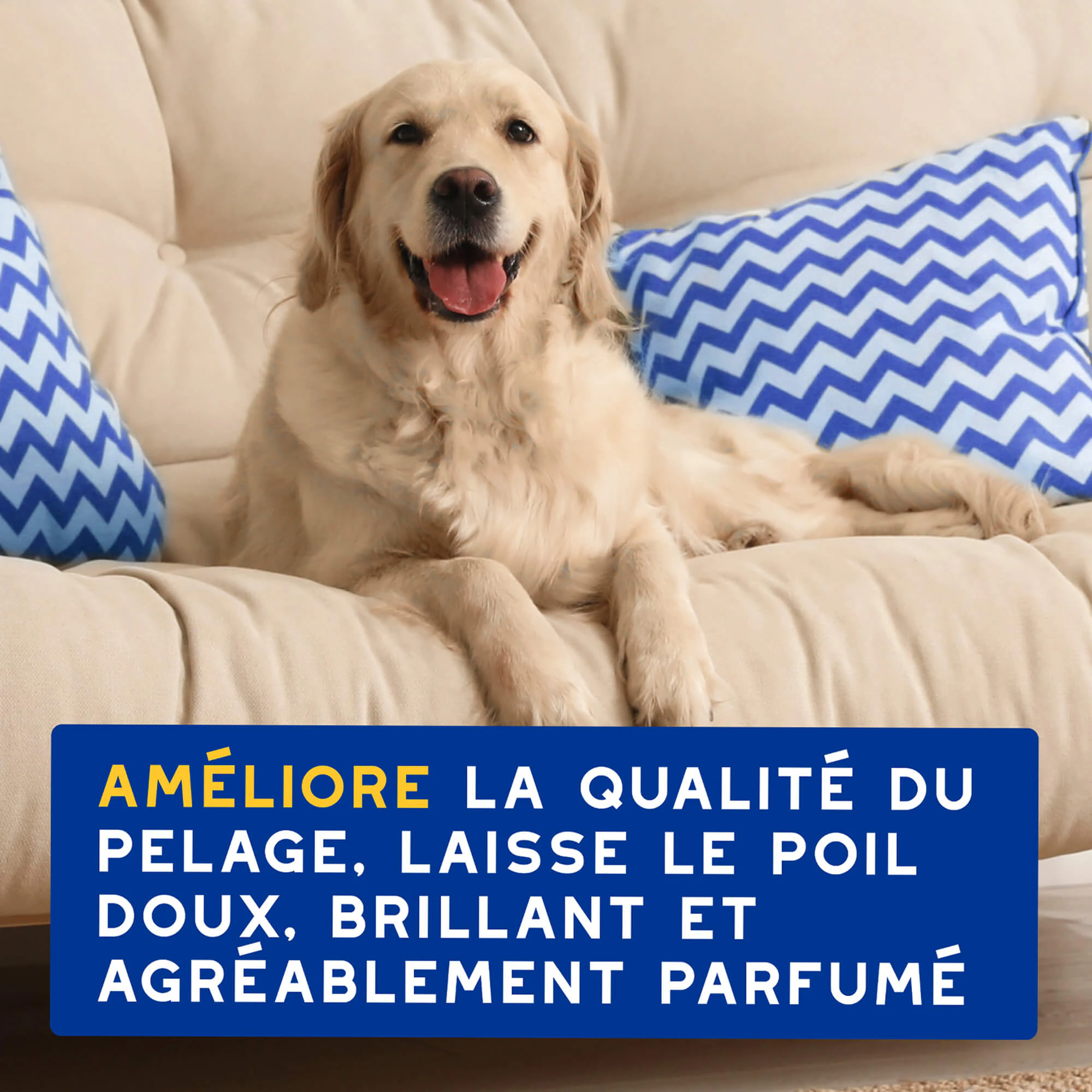 Douxo Spa Shampooing Hydratant