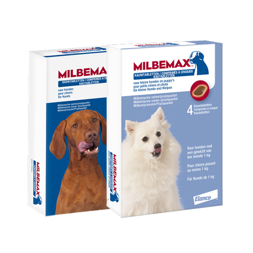 Schne Hunde Wurmkur Milbemax Bild