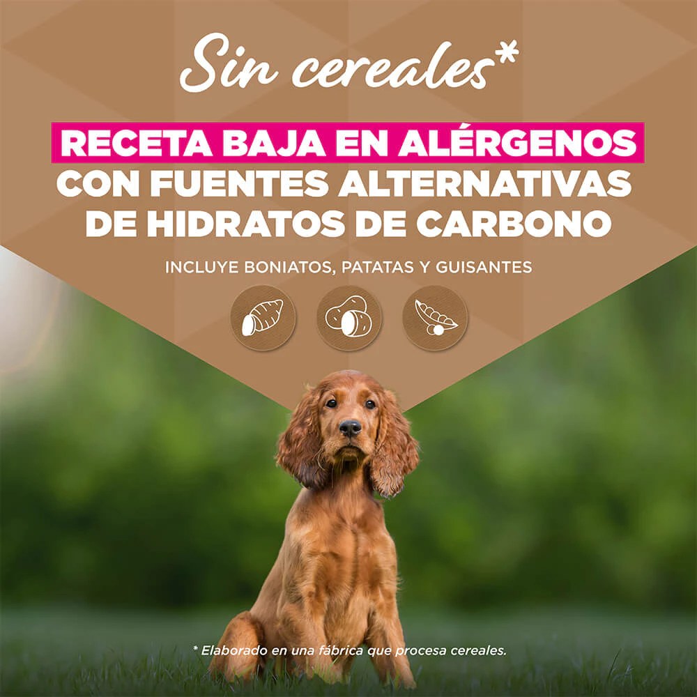 Eukanuba Dog Puppy Small/Medium Grainfree Comida para Perros