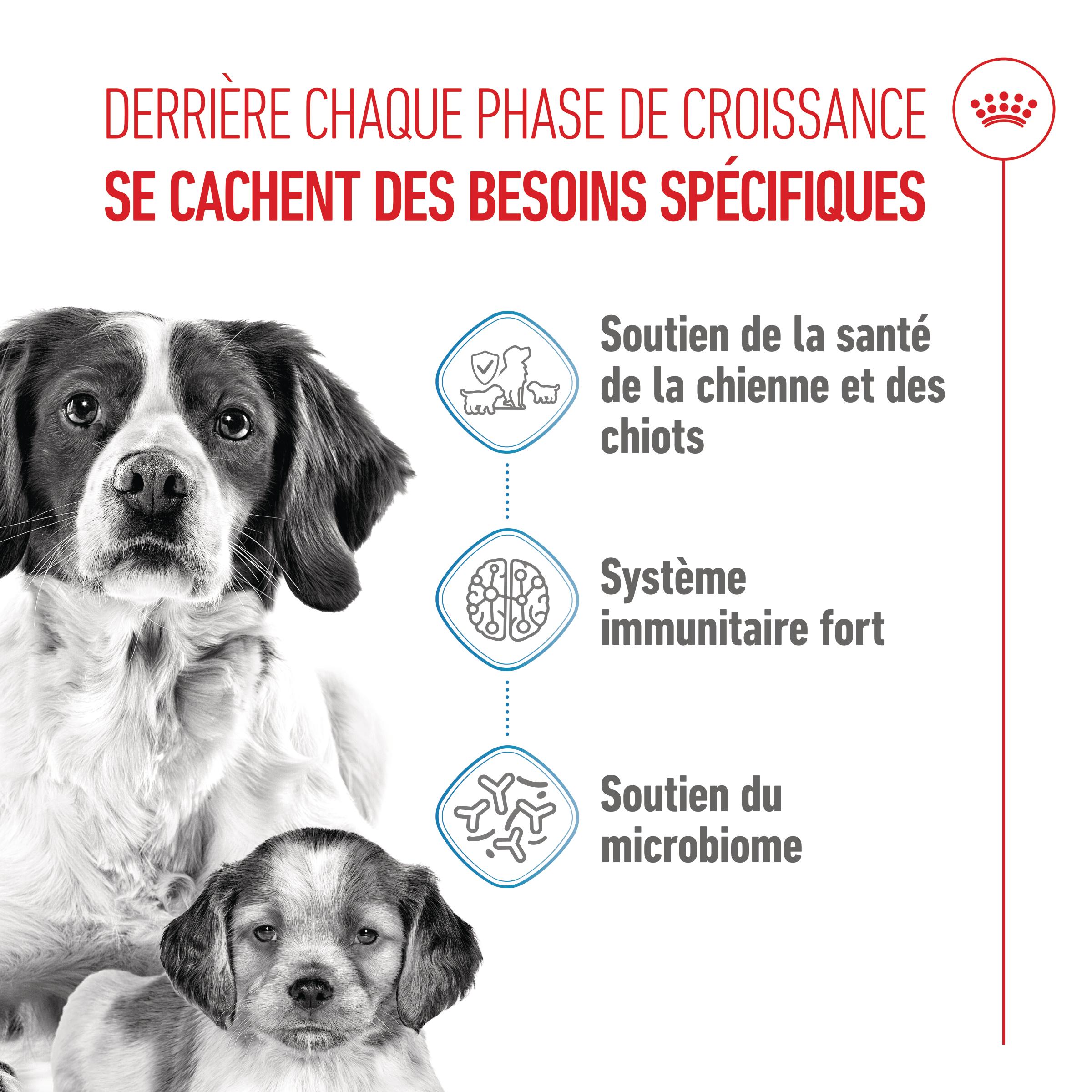 Royal Canin Medium Starter Mother & Babydog