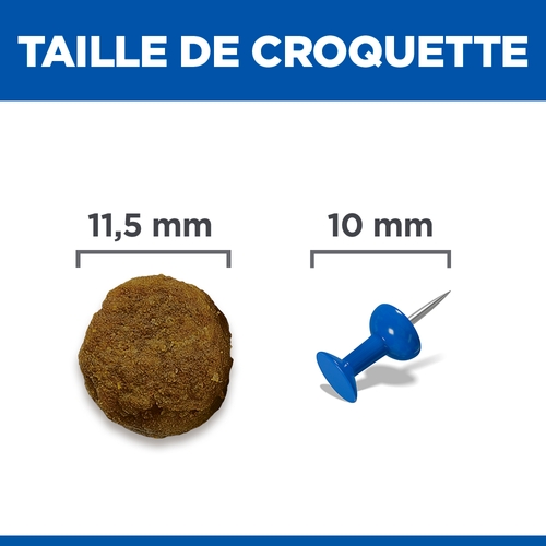 Hill's Science Plan Medium - Adulte - Agneau & Riz