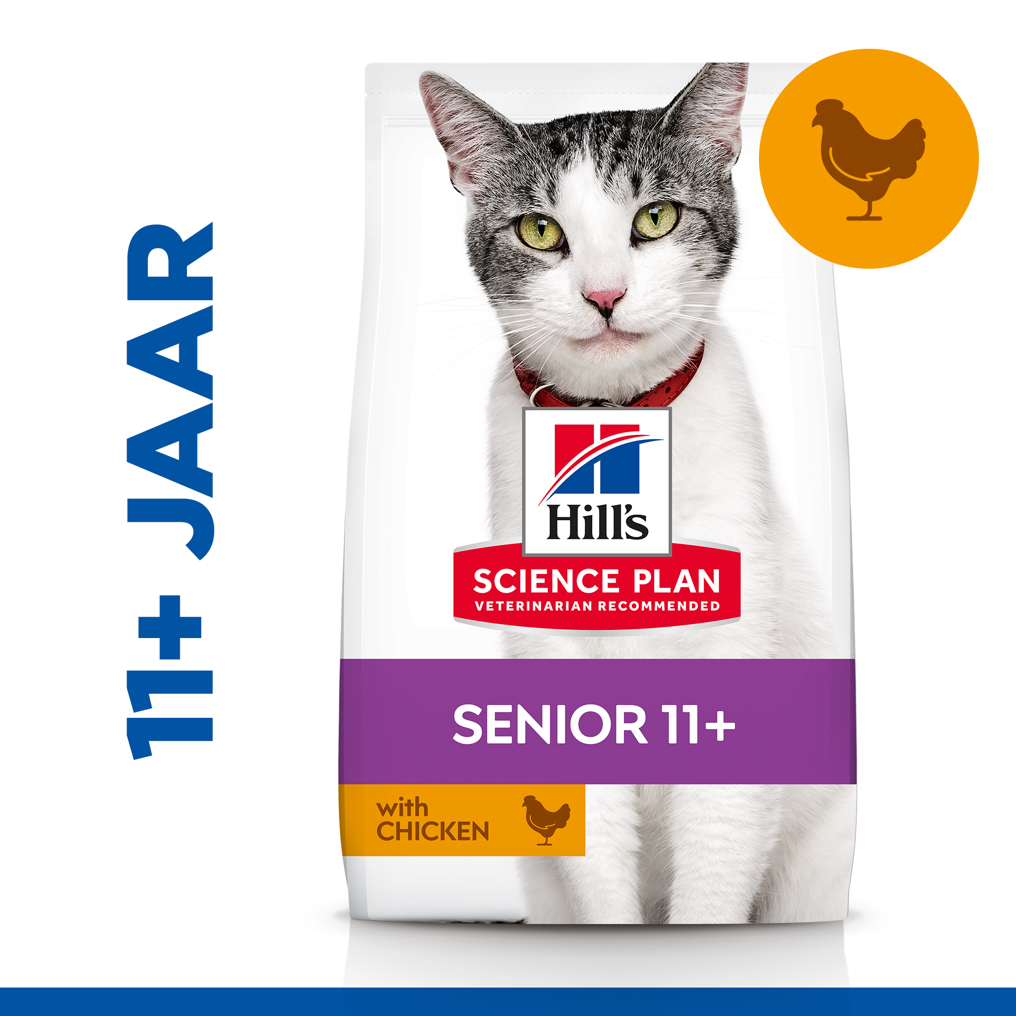 Hills Feline Senior Senior Hills Prescription Diet Cat Hills