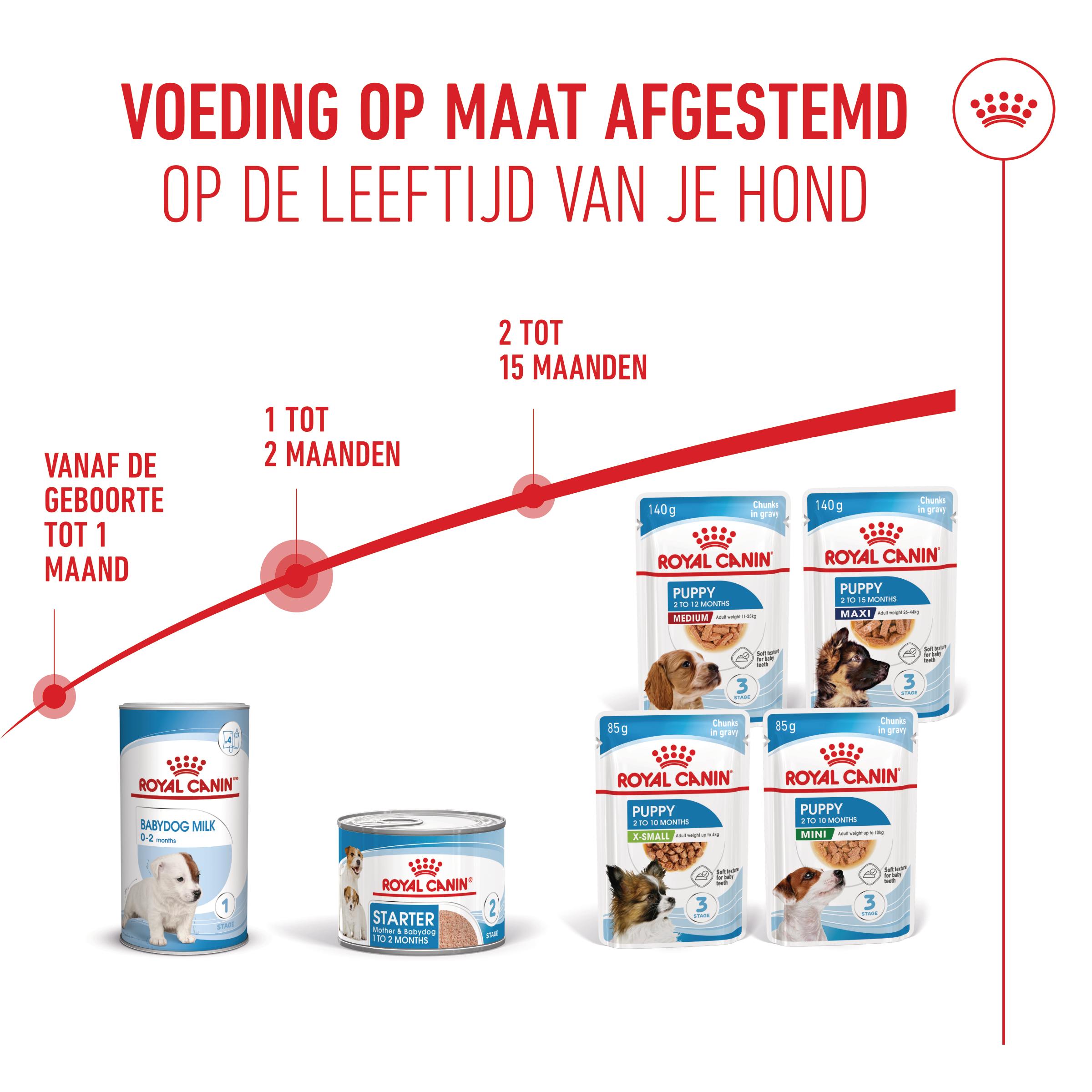 Royal Canin Starter Mousse Mother & Babydog - Hondenvoer