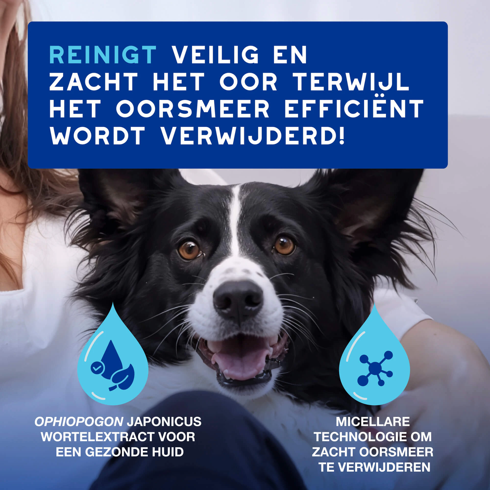 Douxo Spa Oorreiniger