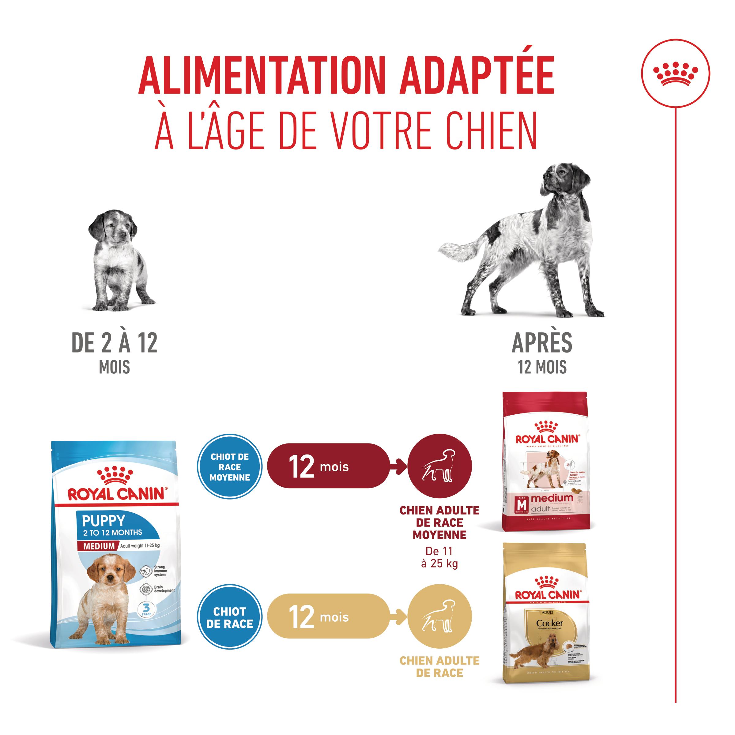 Royal Canin Puppy Medium