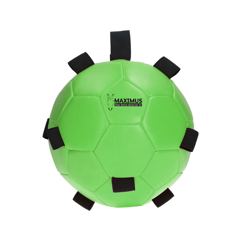 Excellent Horse Fun Play Ball