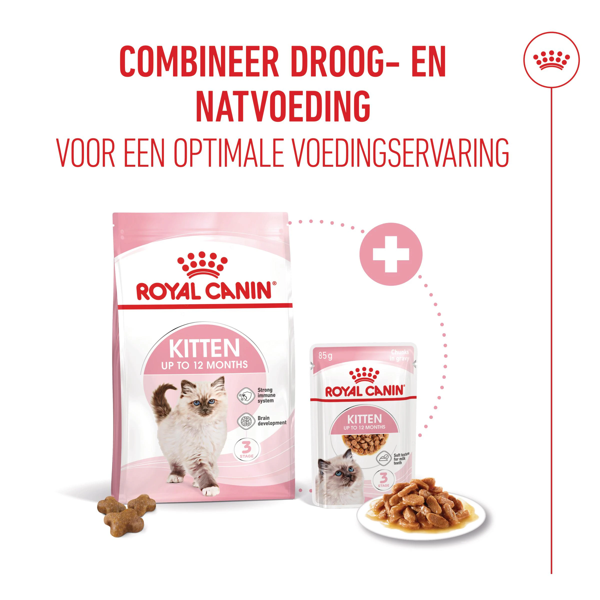Royal Canin Kitten in Gravy - Kattenvoer