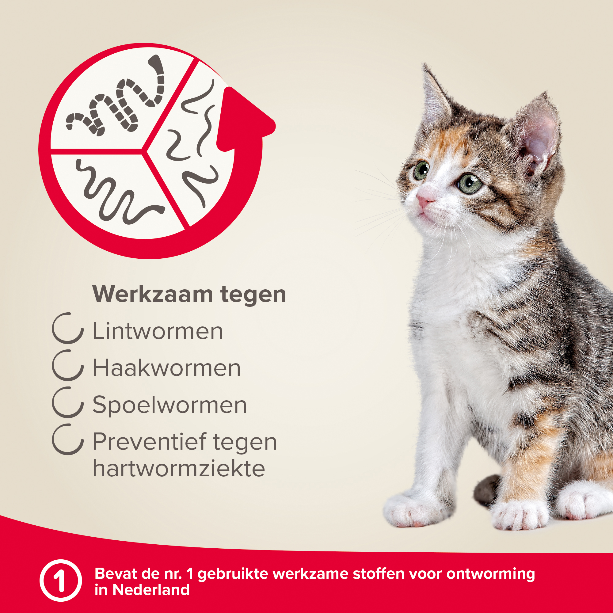 Beaphar Milquestra Kat