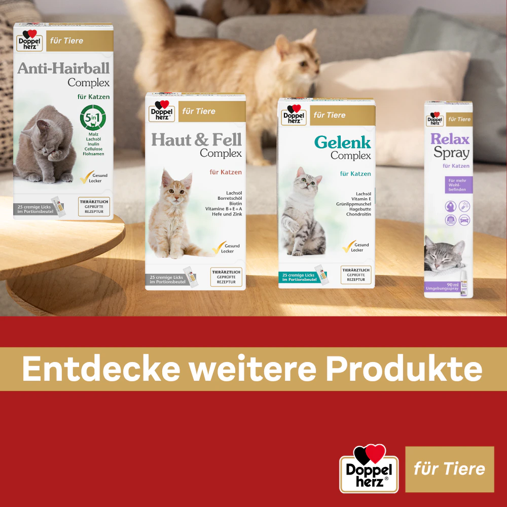 Doppelherz Haut & Fell Complex für Katzen