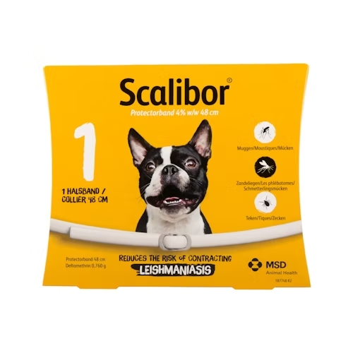 die besten hundebetten Luxuriöses und weiches orthopädisches Hundebett – Für den besten Schla –  Happy-Fits