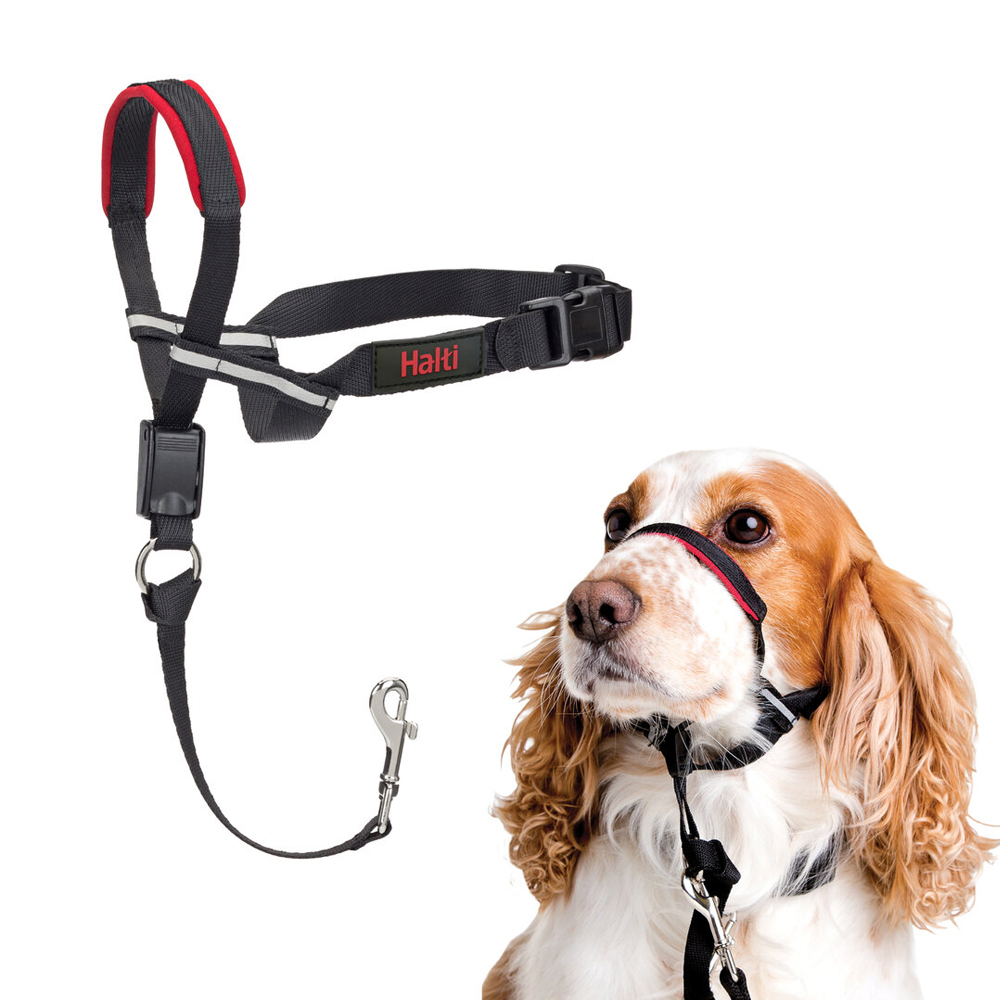 Halti OptiFit Licol pour Chien