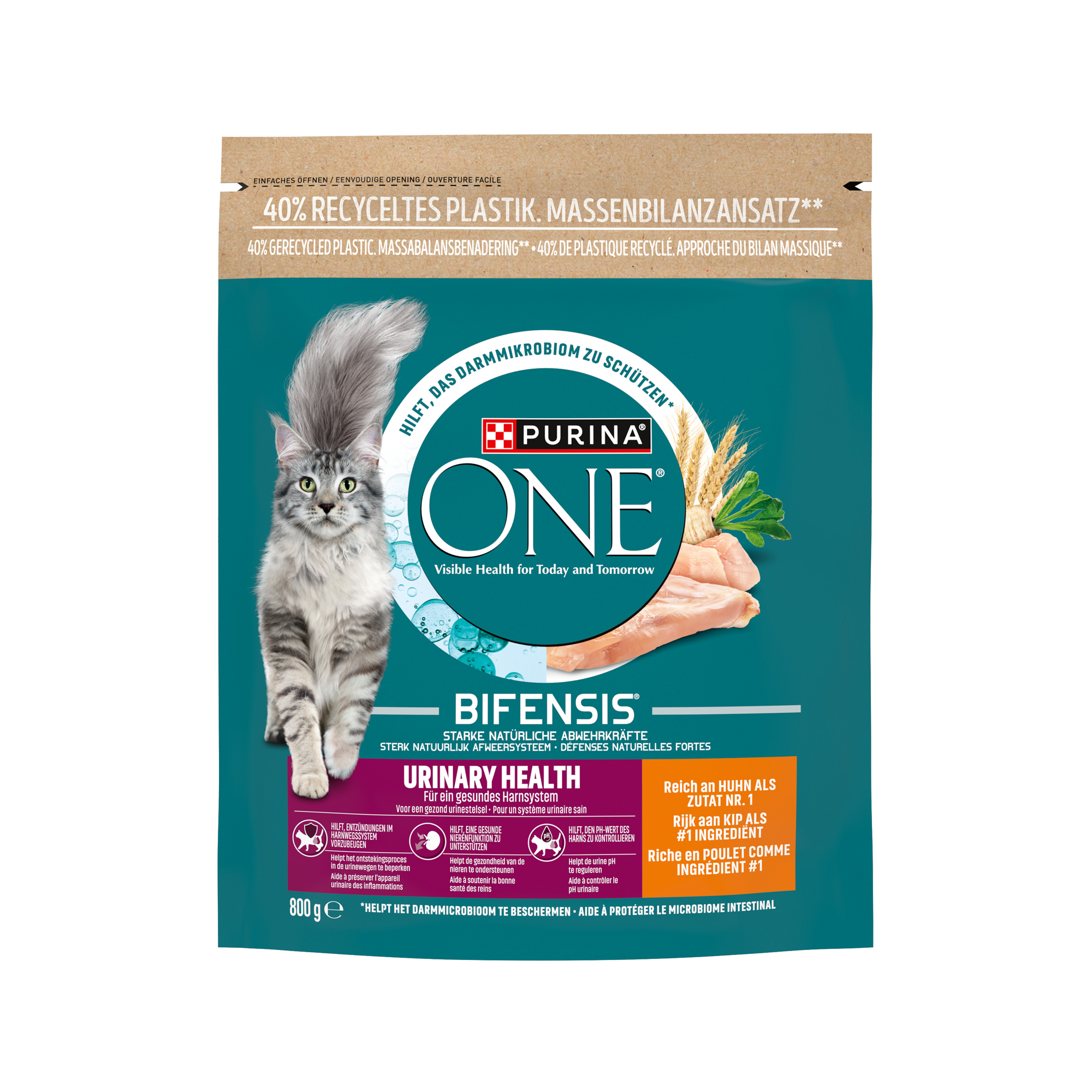 Purina ONE Adult Urinary Health