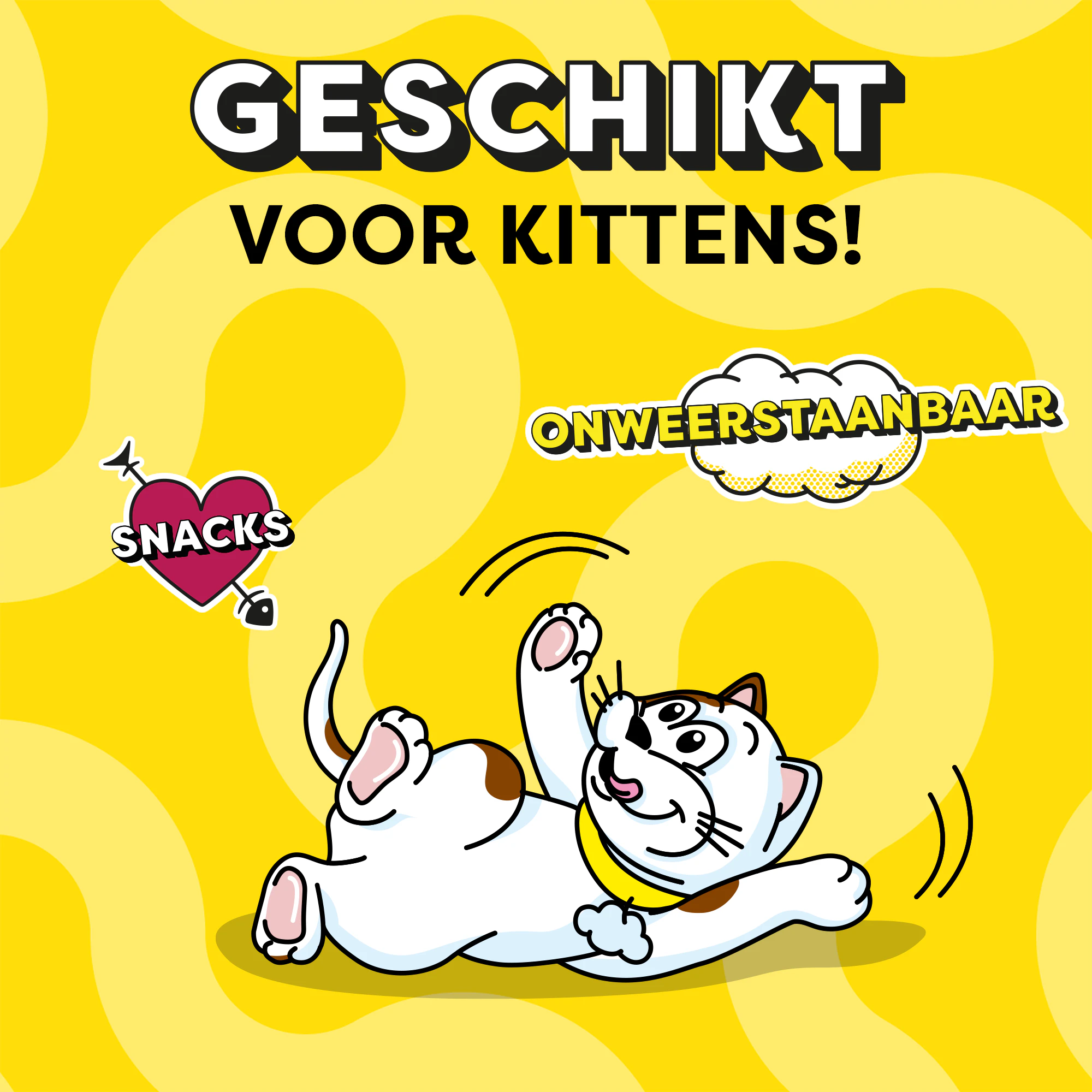 Catisfactions Kattensnoepjes