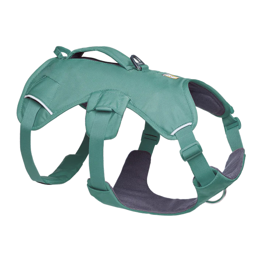 Ruffwear Web Master Harness - M - River Rock Green