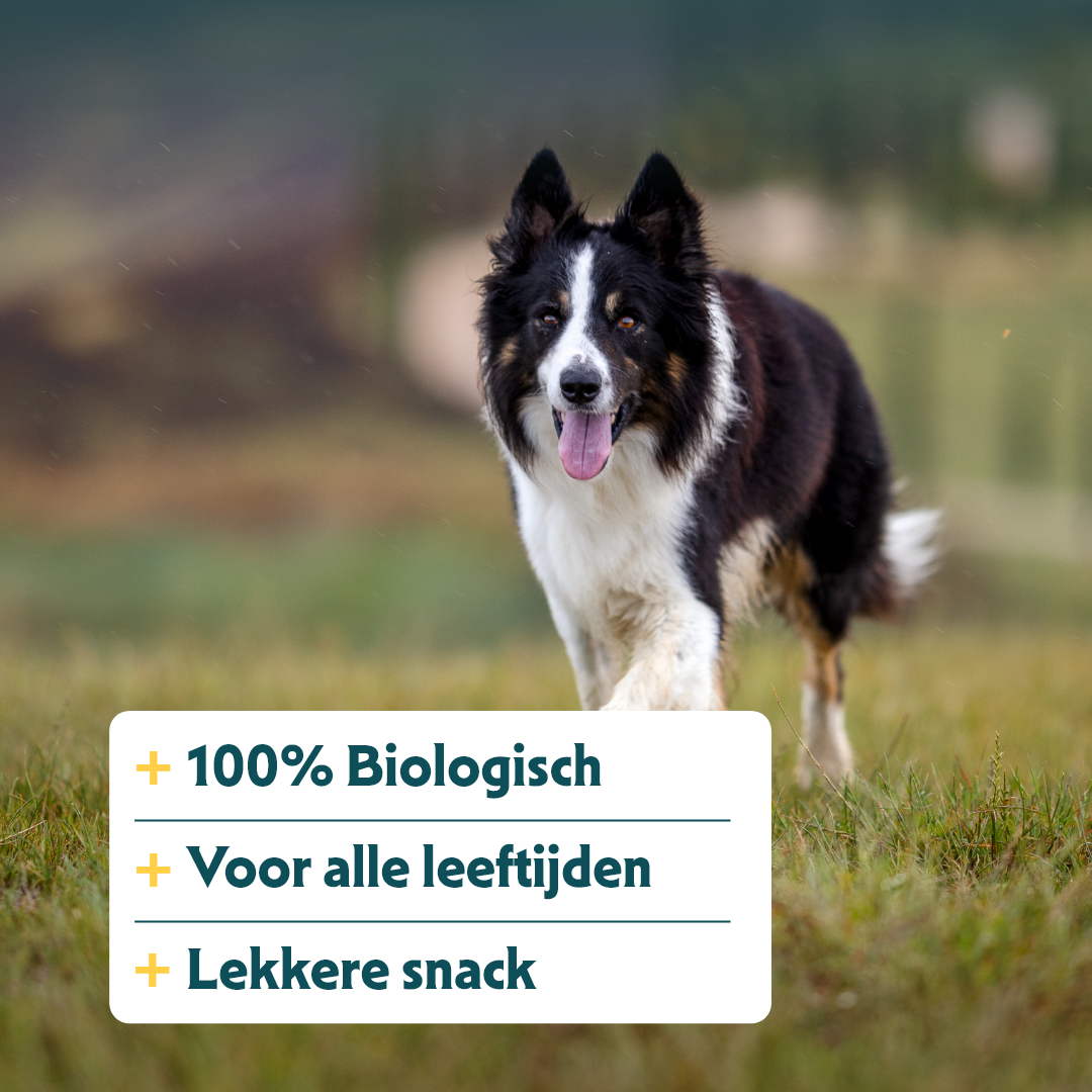 Yarrah - Kippennekken Bio