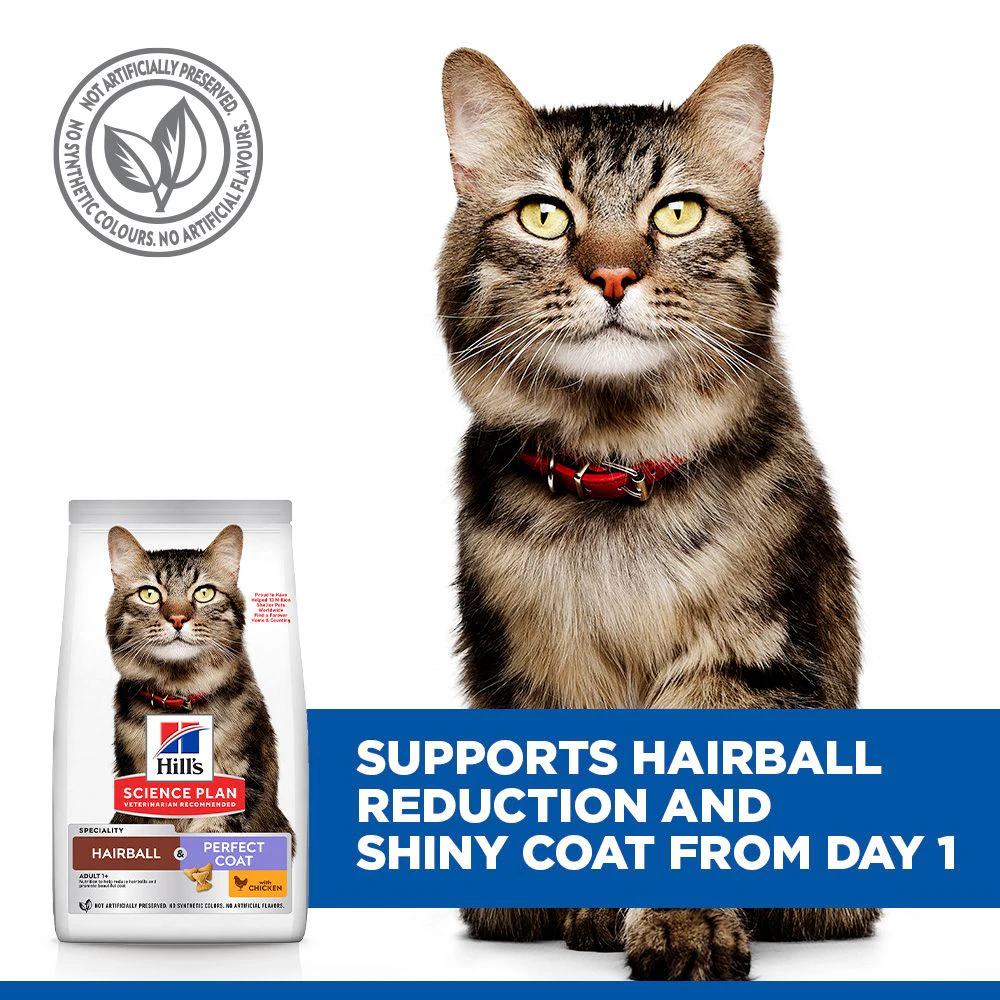 Hill's Science Plan Hairball & Perfect Coat - Cat