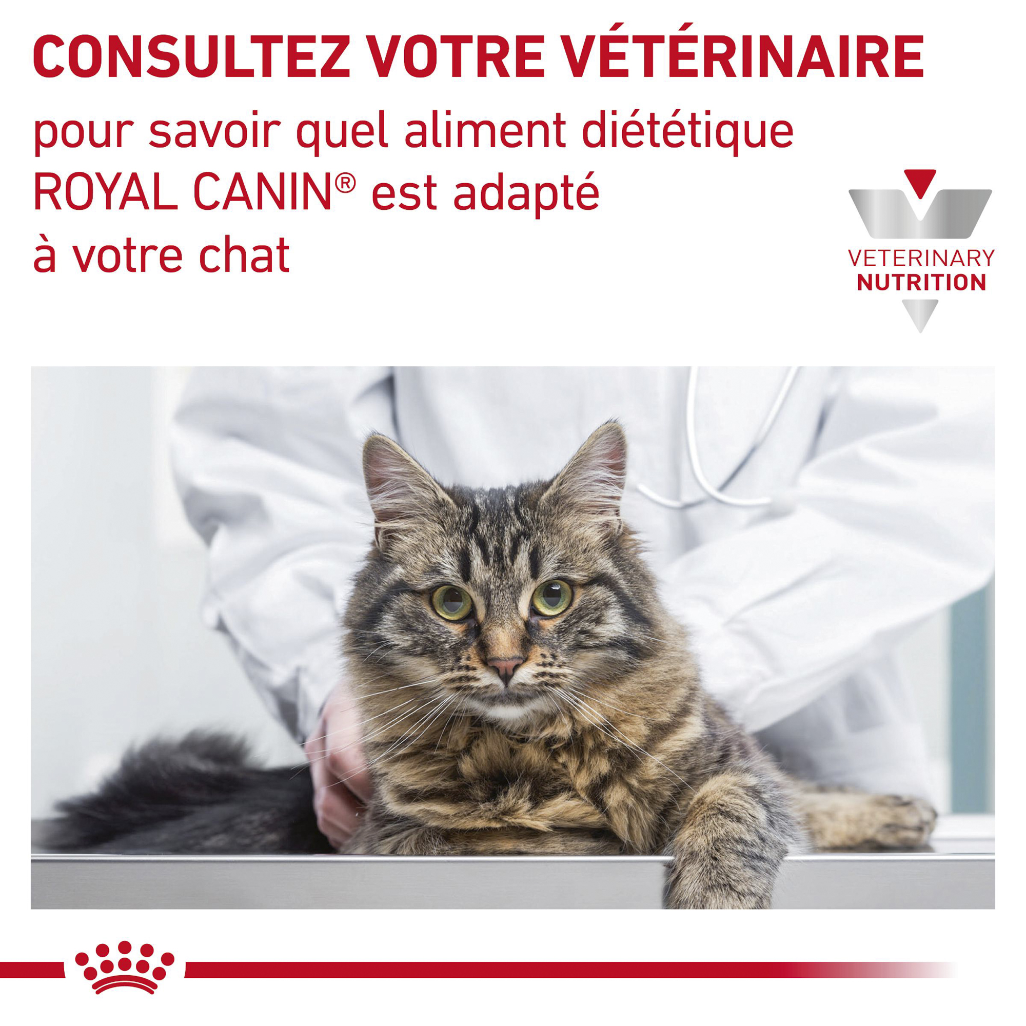 Royal Canin Rénal Chat