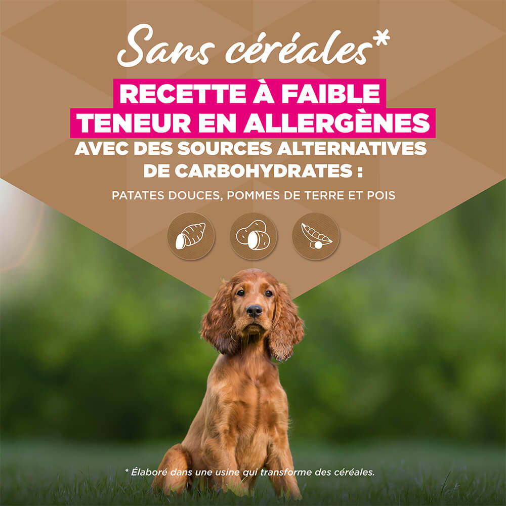 Eukanuba Dog Puppy Small/Medium Grainfree Aliment pour chien