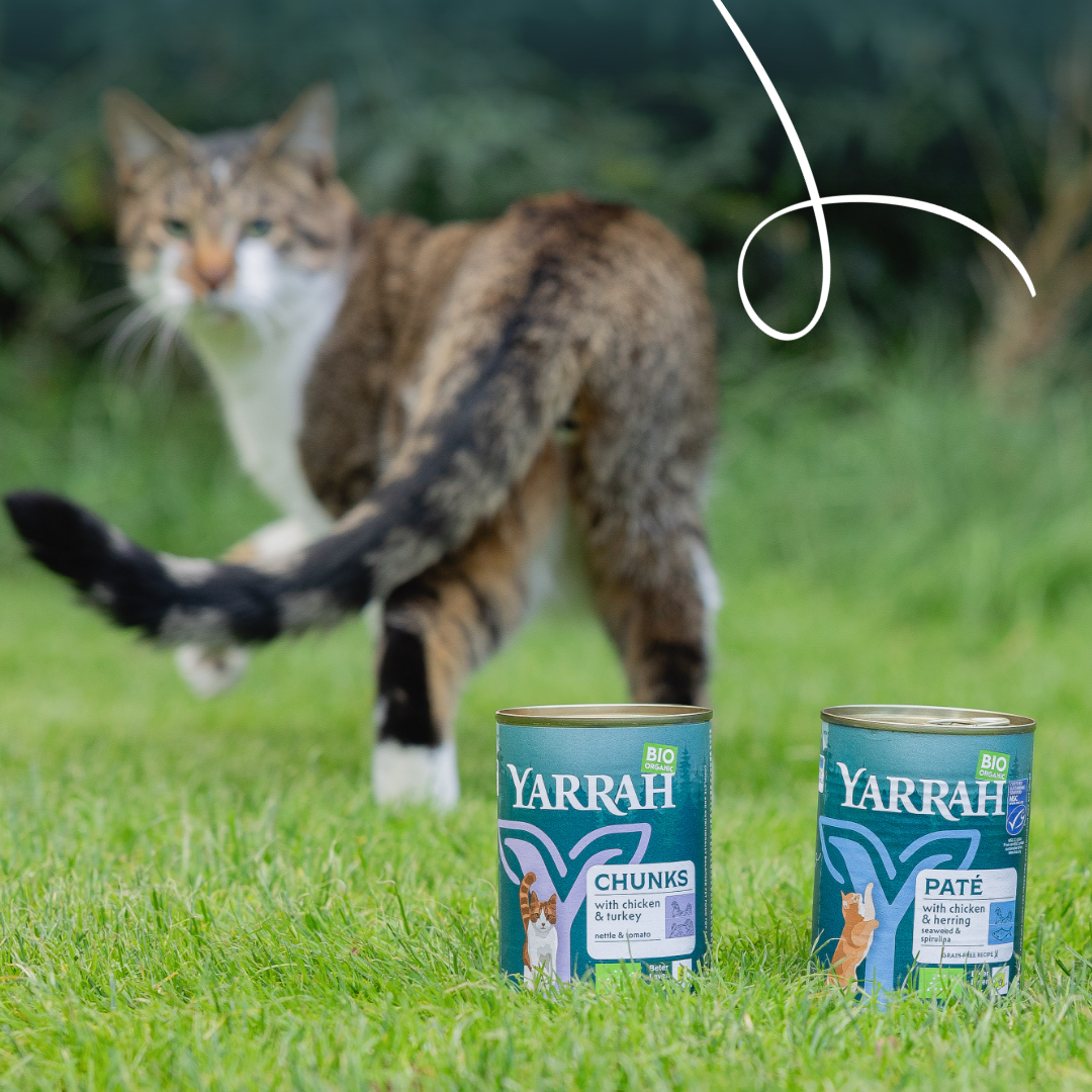 Yarrah - Natvoer Kat Blik Chunks met Kip & Kalkoen Bio