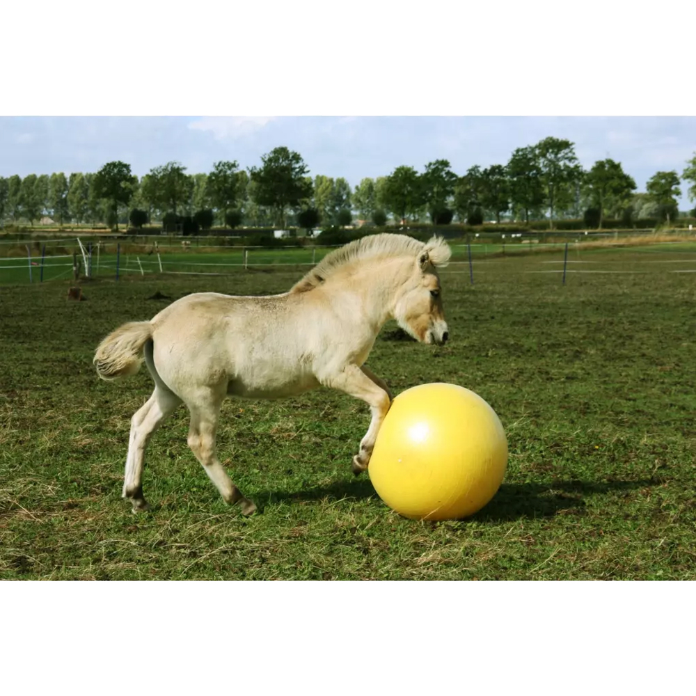 Maximus Fun Play Ball pour Chevaux | Commander