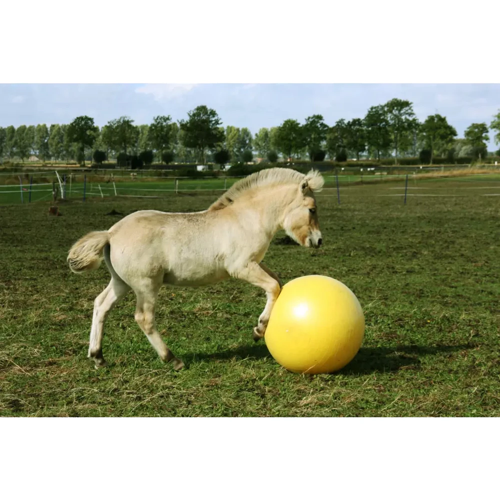 Maximus Power Play Ball