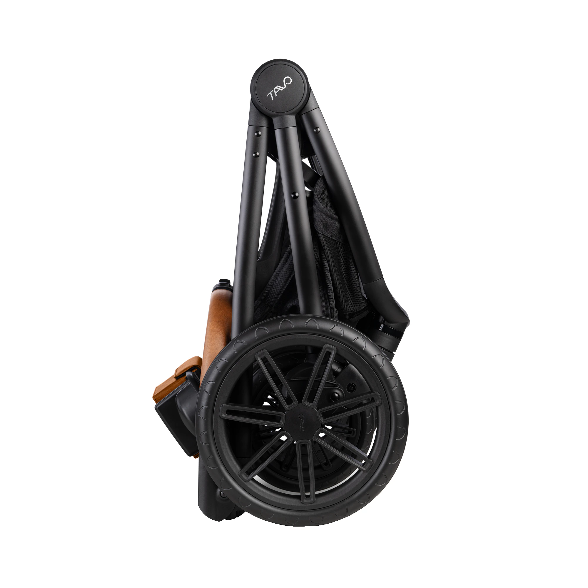 Tavo Pets Roscoe Trek