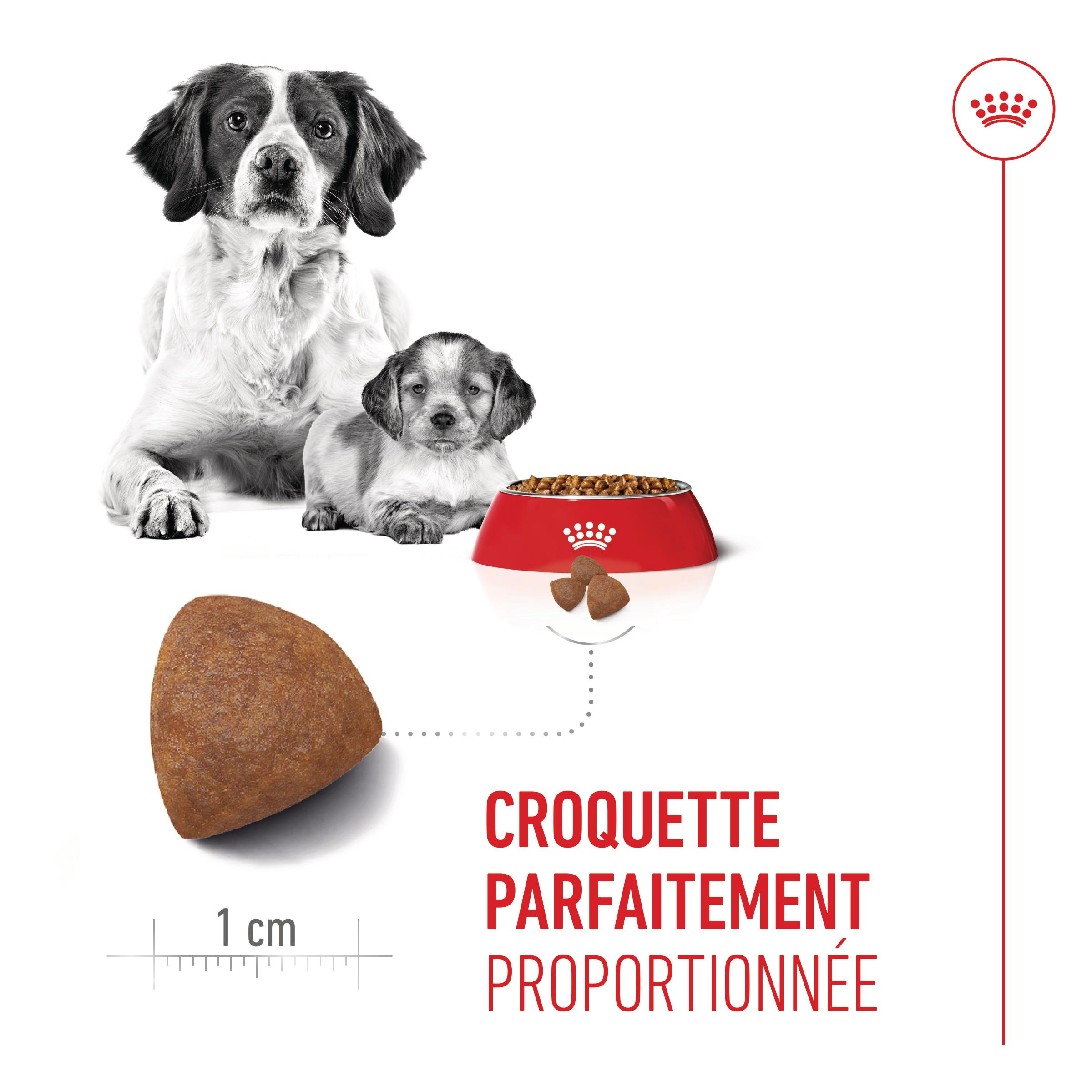 Royal Canin Medium Starter Mother & Babydog