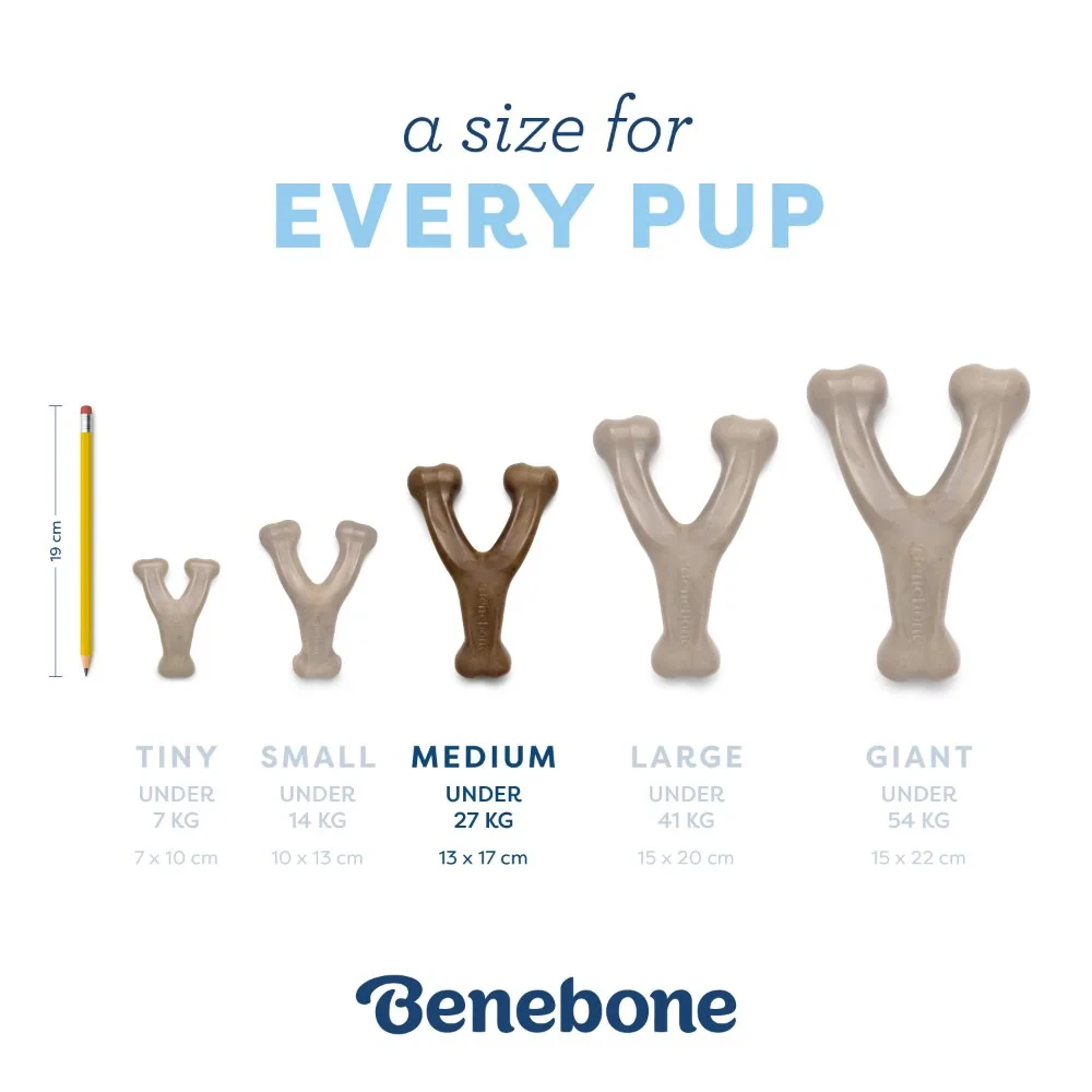 Benebone Puppy Wishbone