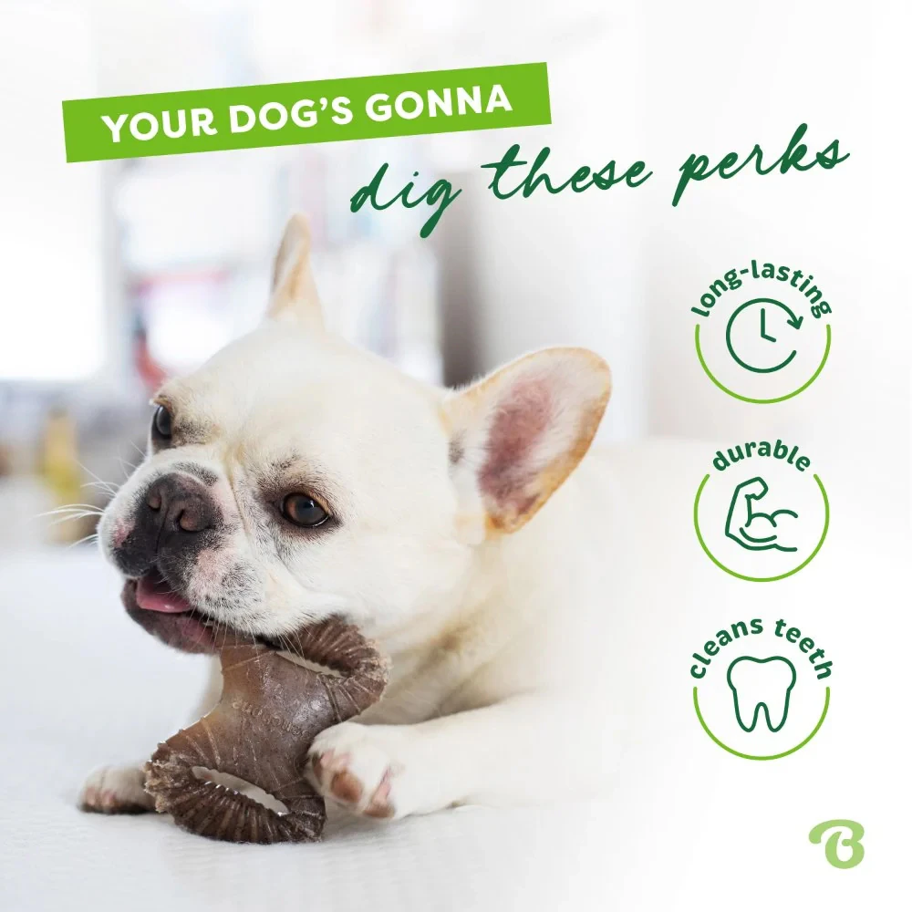 Benebone Tiny 2-Pack