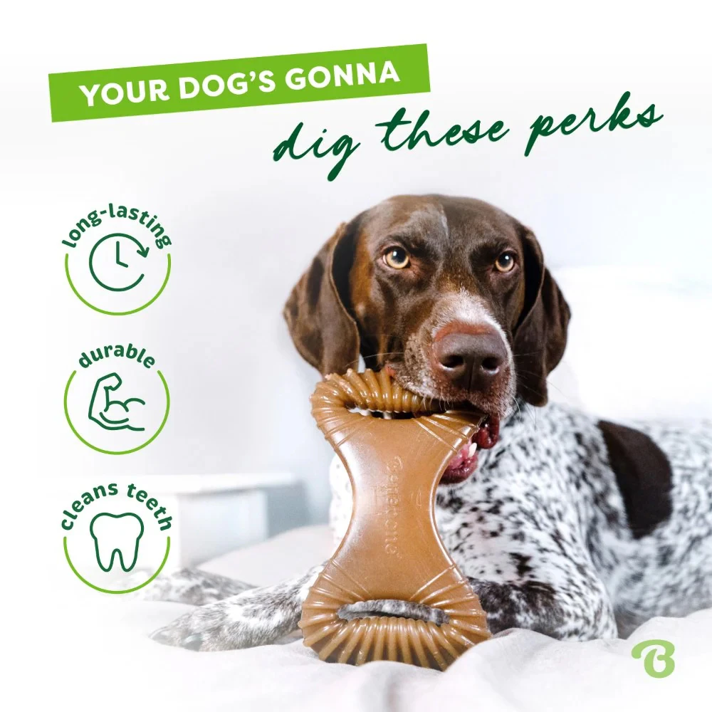 Benebone Dental Chew