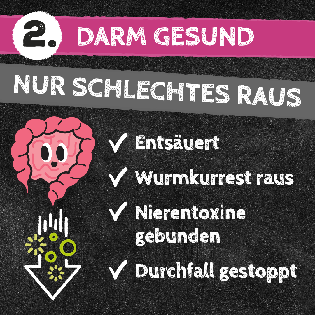 Qchefs Zahnputzkohle Katze