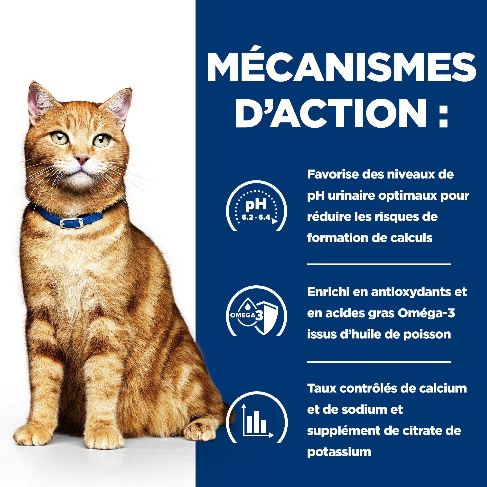 Hill's c/d Multicare - Prescription Diet - Félin - Mousse