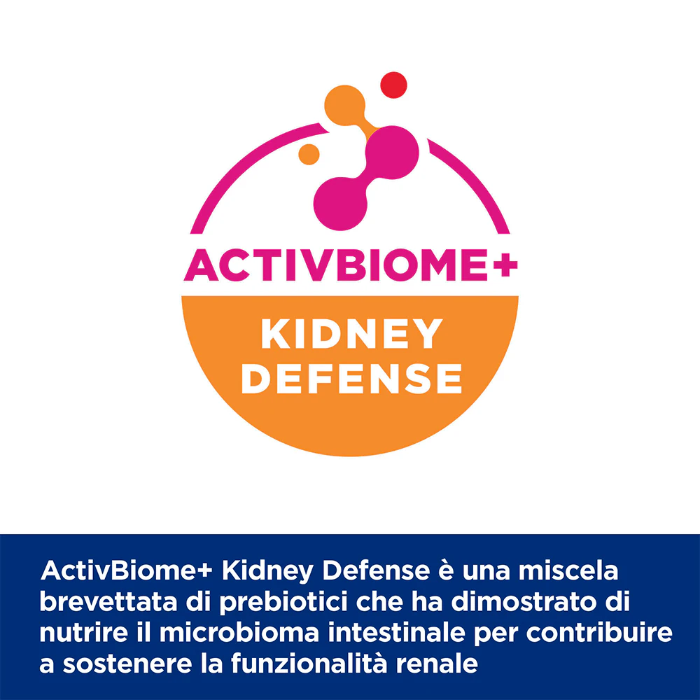 Hill's k/d Kidney Care - Prescription Diet - Feline - Buste Cibo Umido
