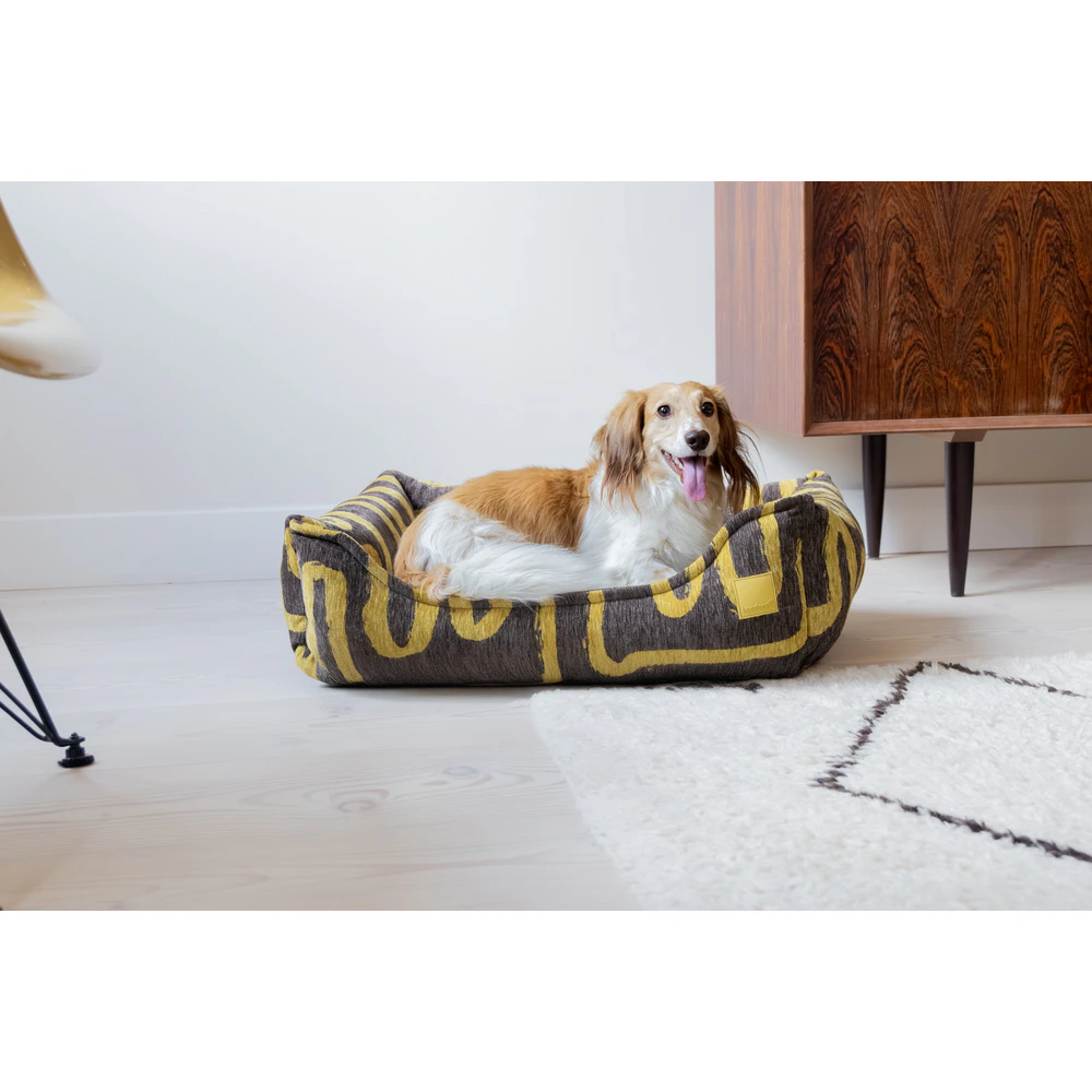 Beeztees Next Gen Graphicz Orthopaedic Dog Bed