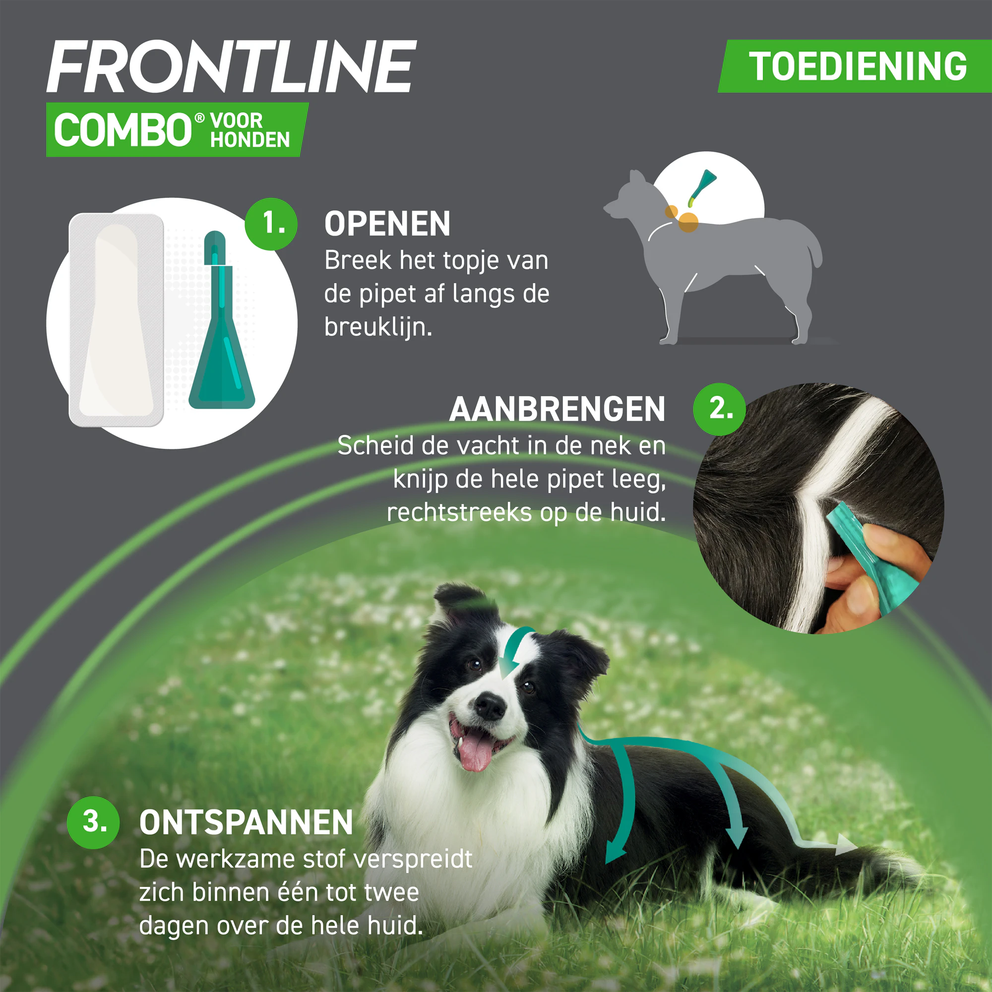 Frontline Combo Spot On Hond
