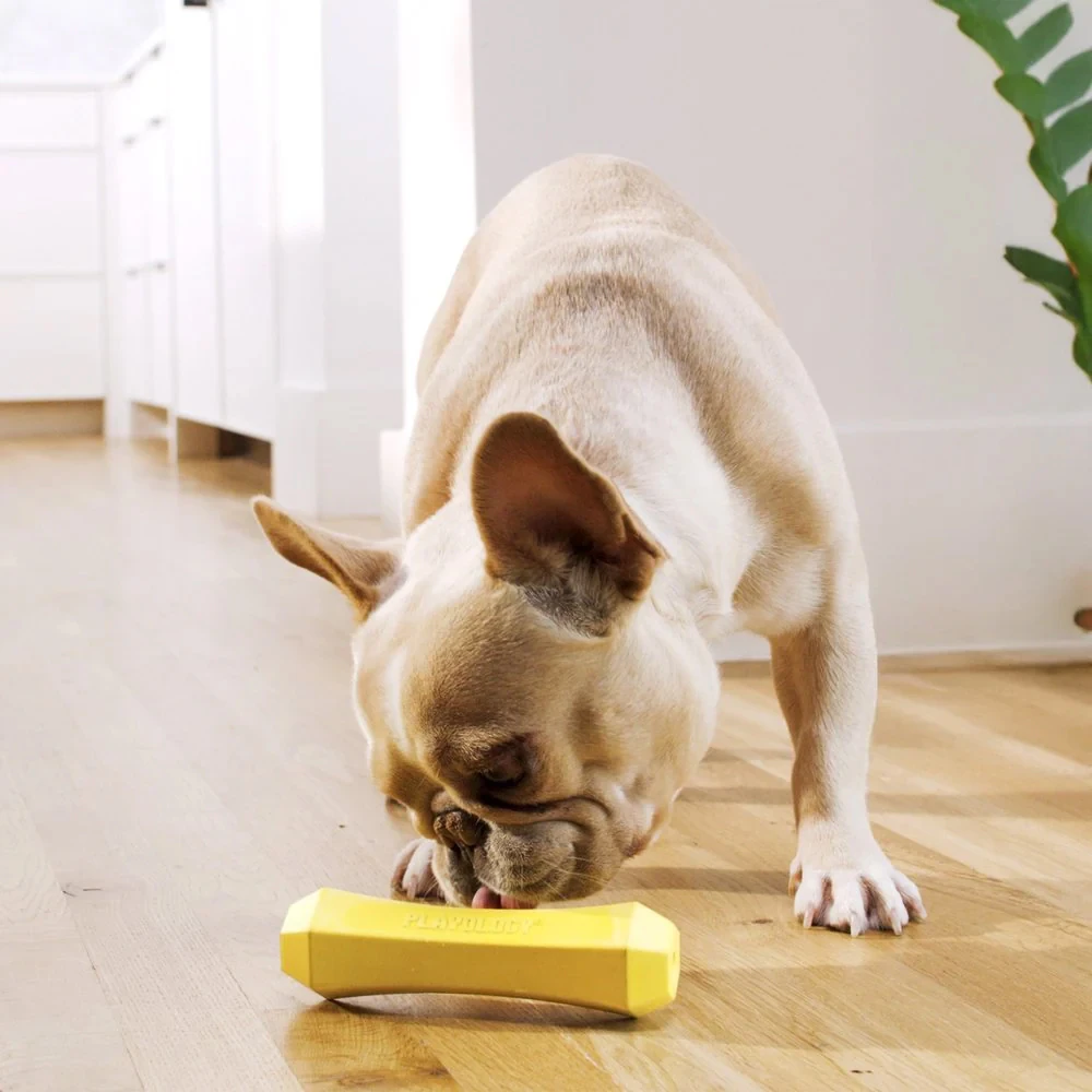 Playology Squeaky Chew Stick