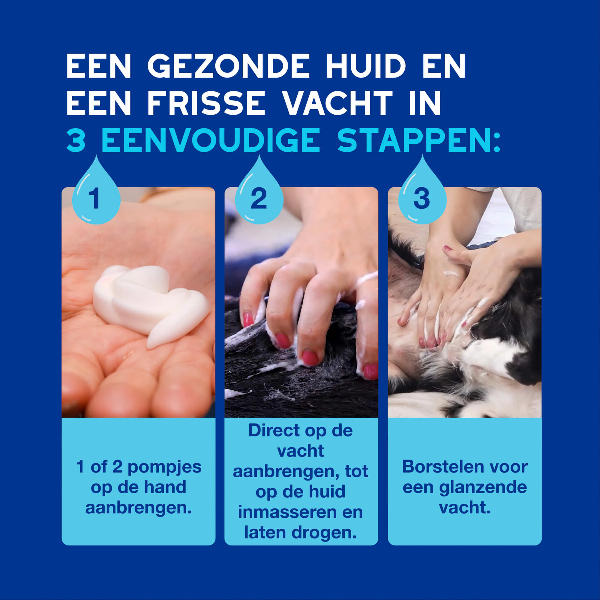 Douxo Spa Dog Mousse