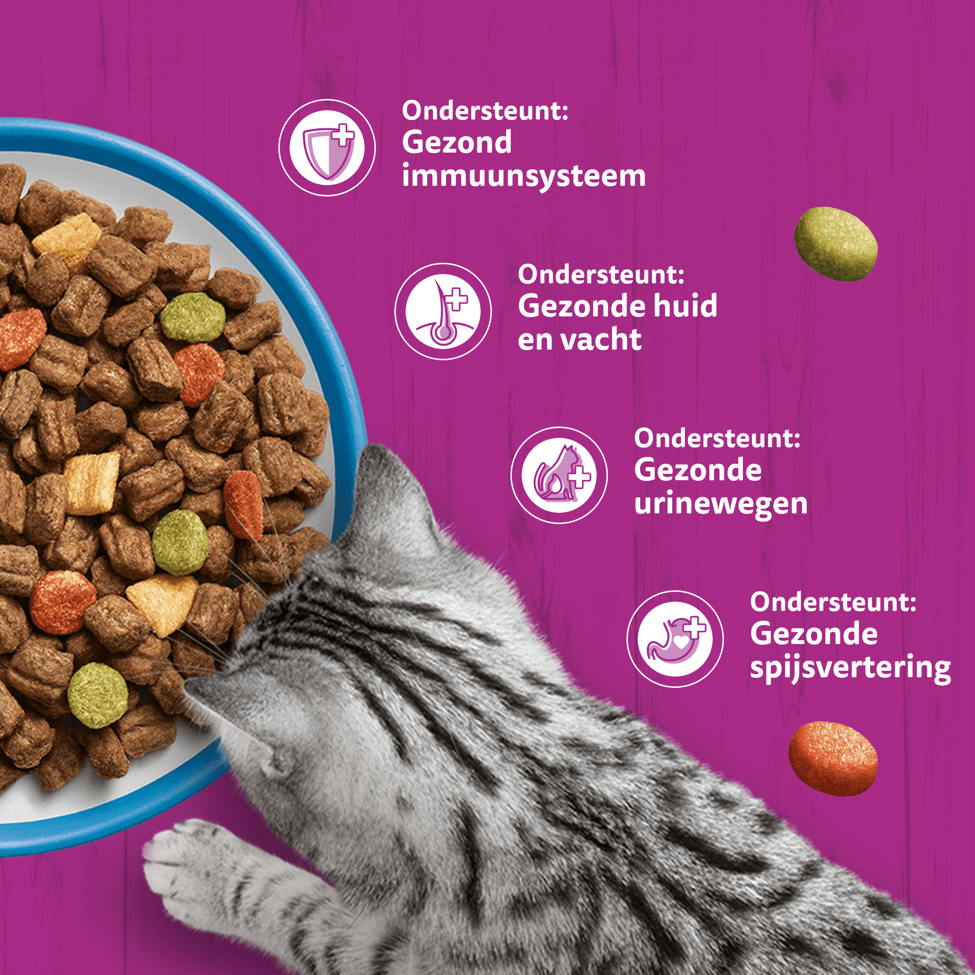 Whiskas Adult Kattenbrokken