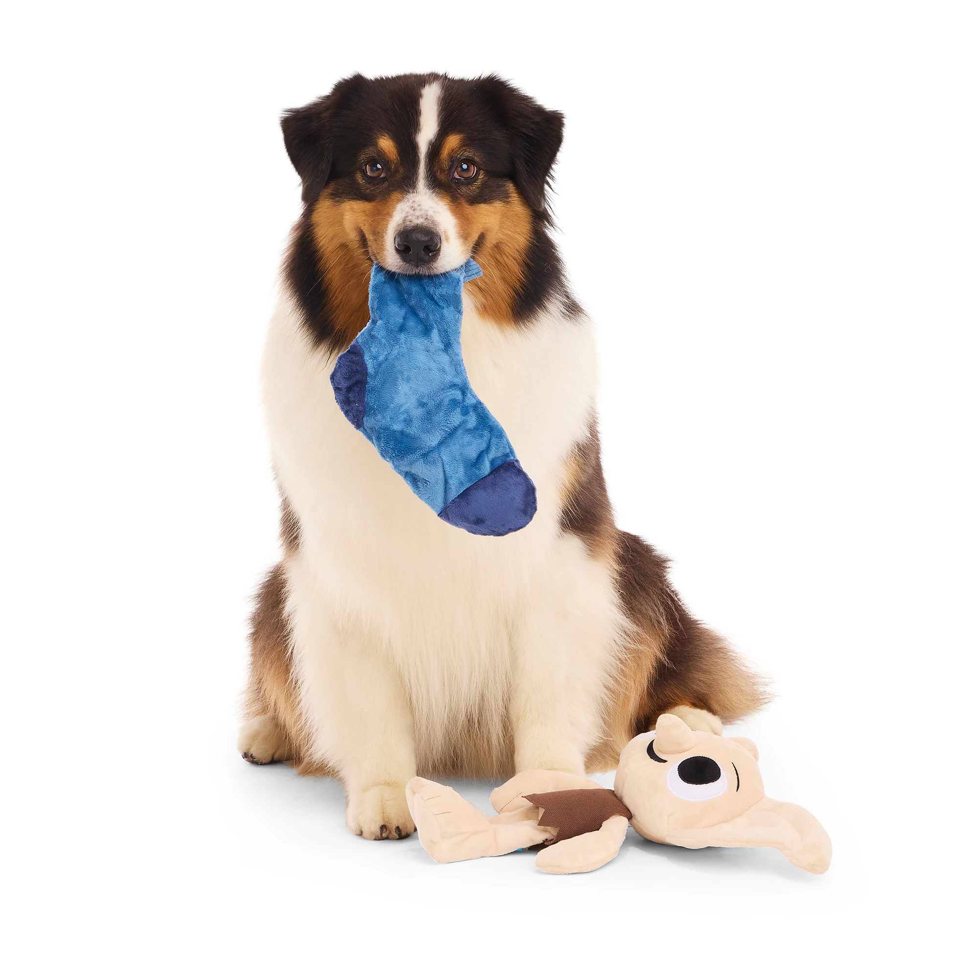 Bark Harry Potter Dobby Knuffel