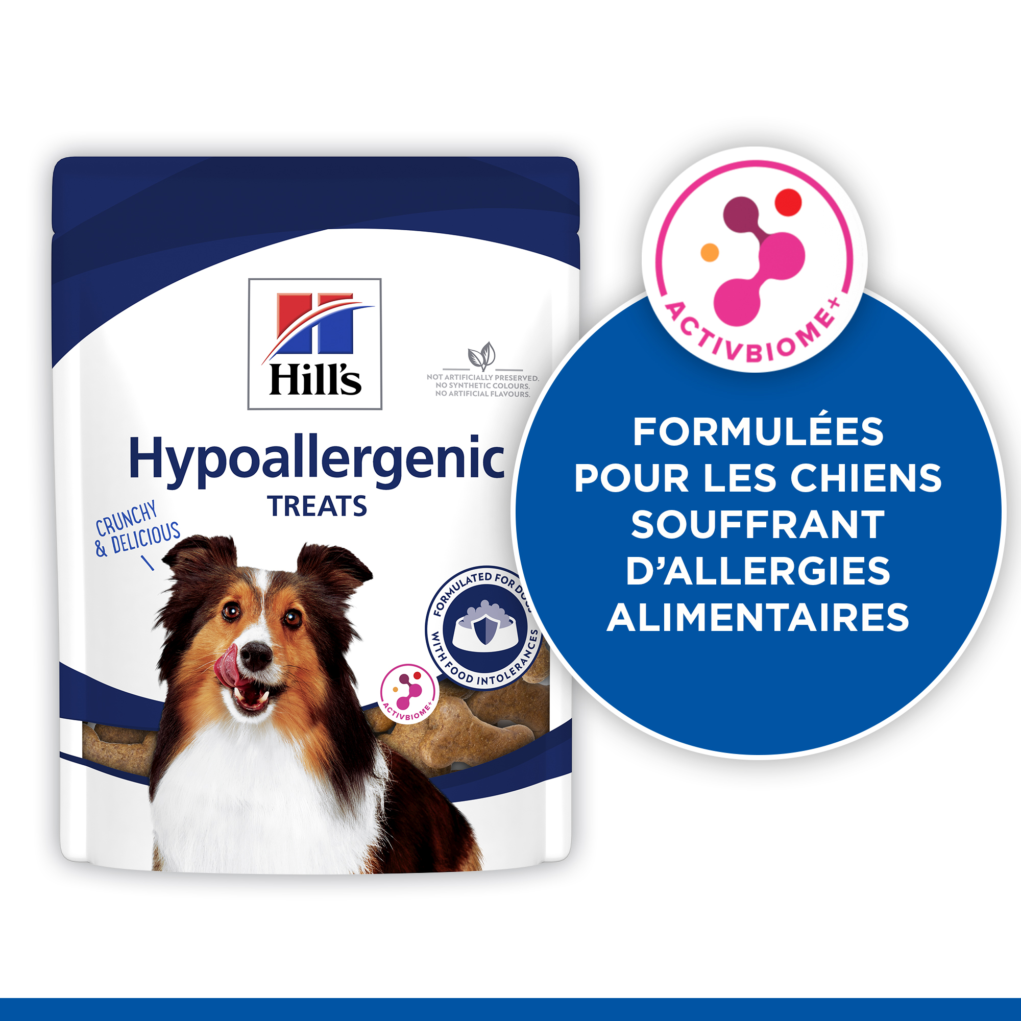 Hill's hypoallergenic treats canine best sale