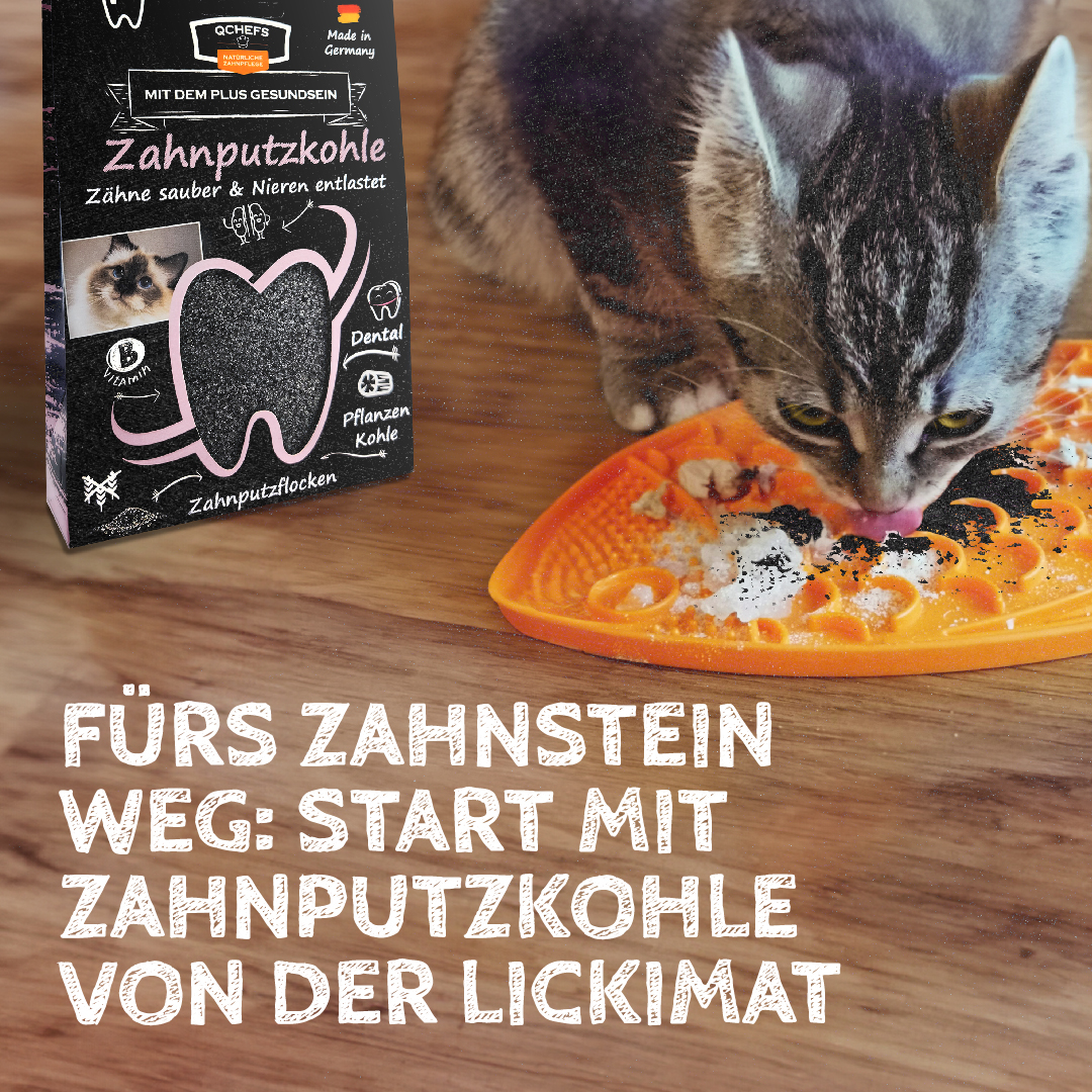 Qchefs Zahnputzkohle Katze